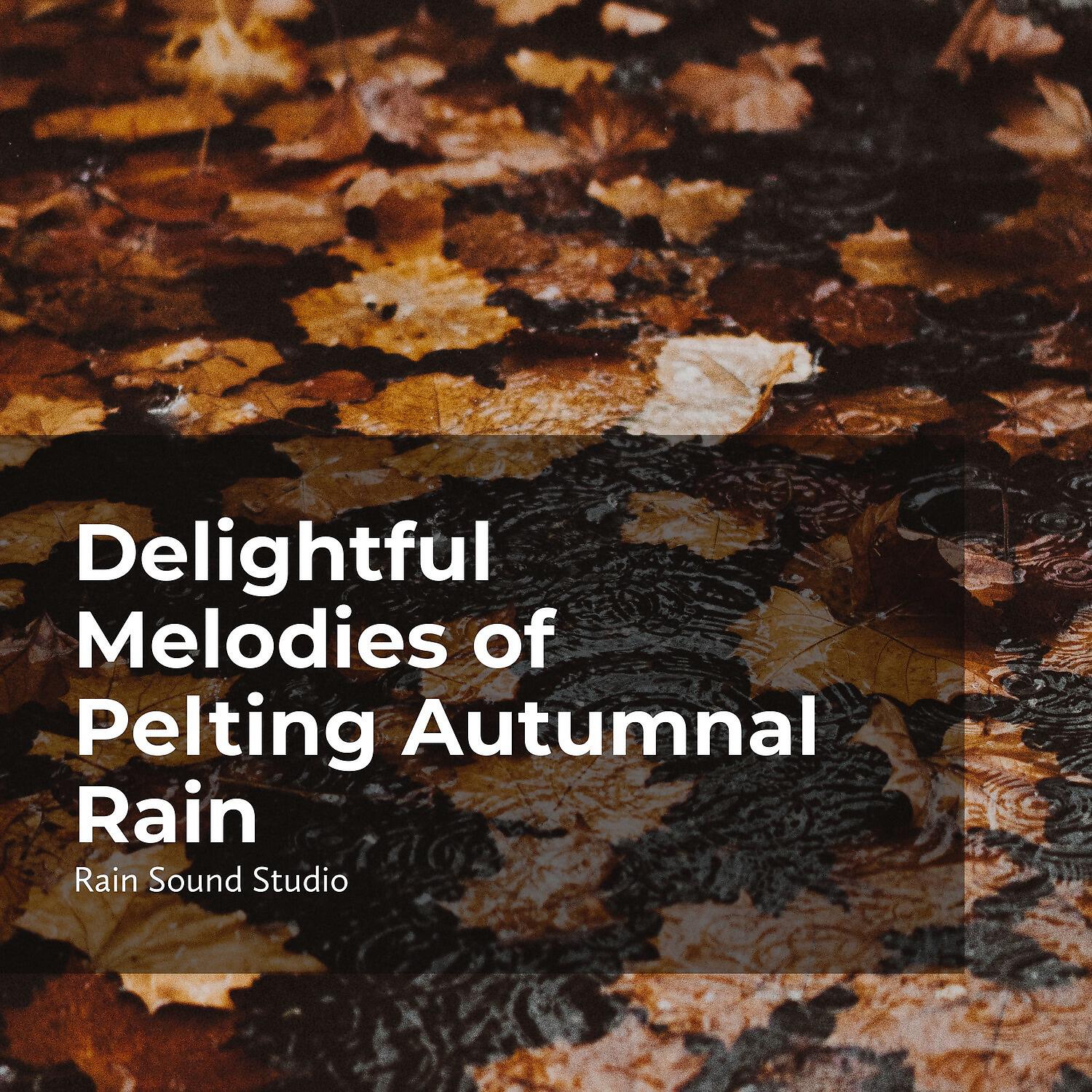 Релиз Delightful Melodies of Pelting Autumnal Rain