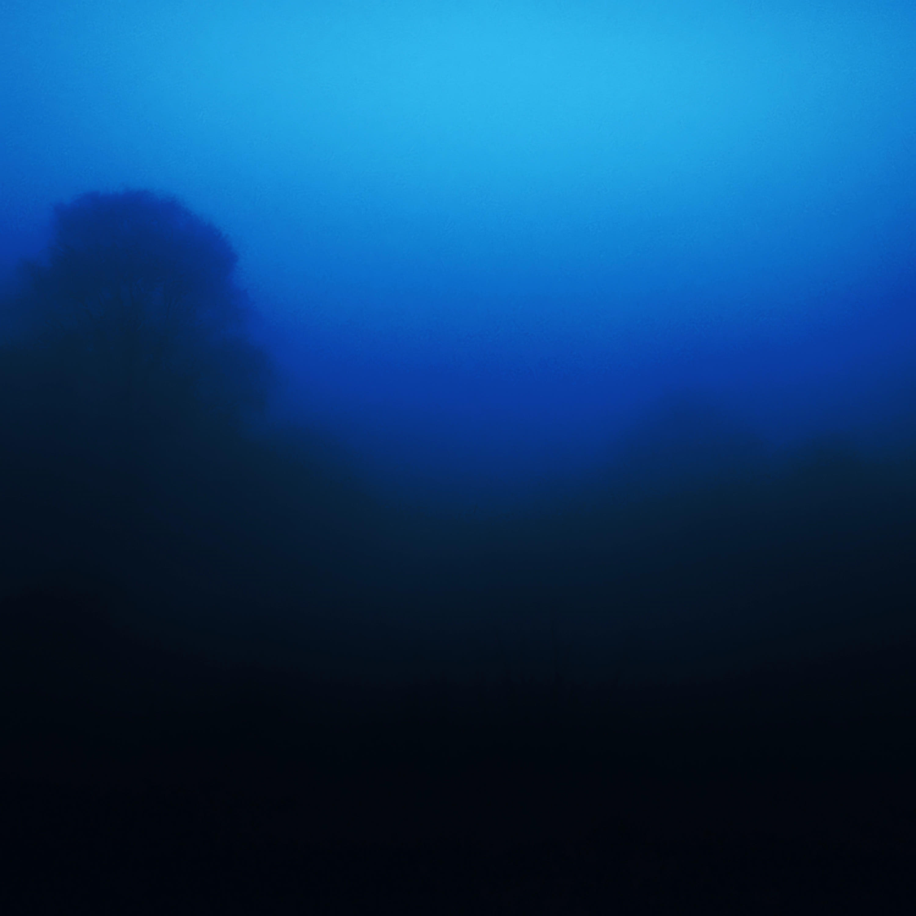 Релиз echo