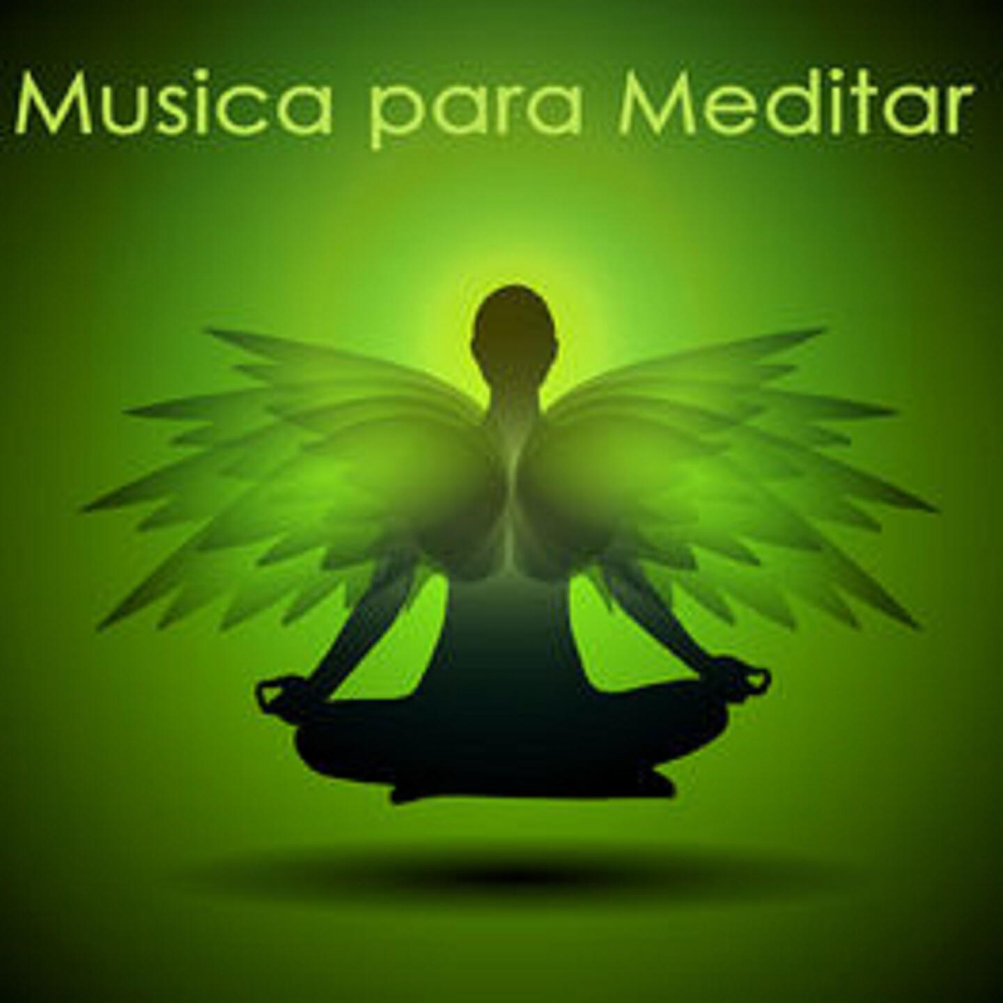 Релиз Música para Meditar