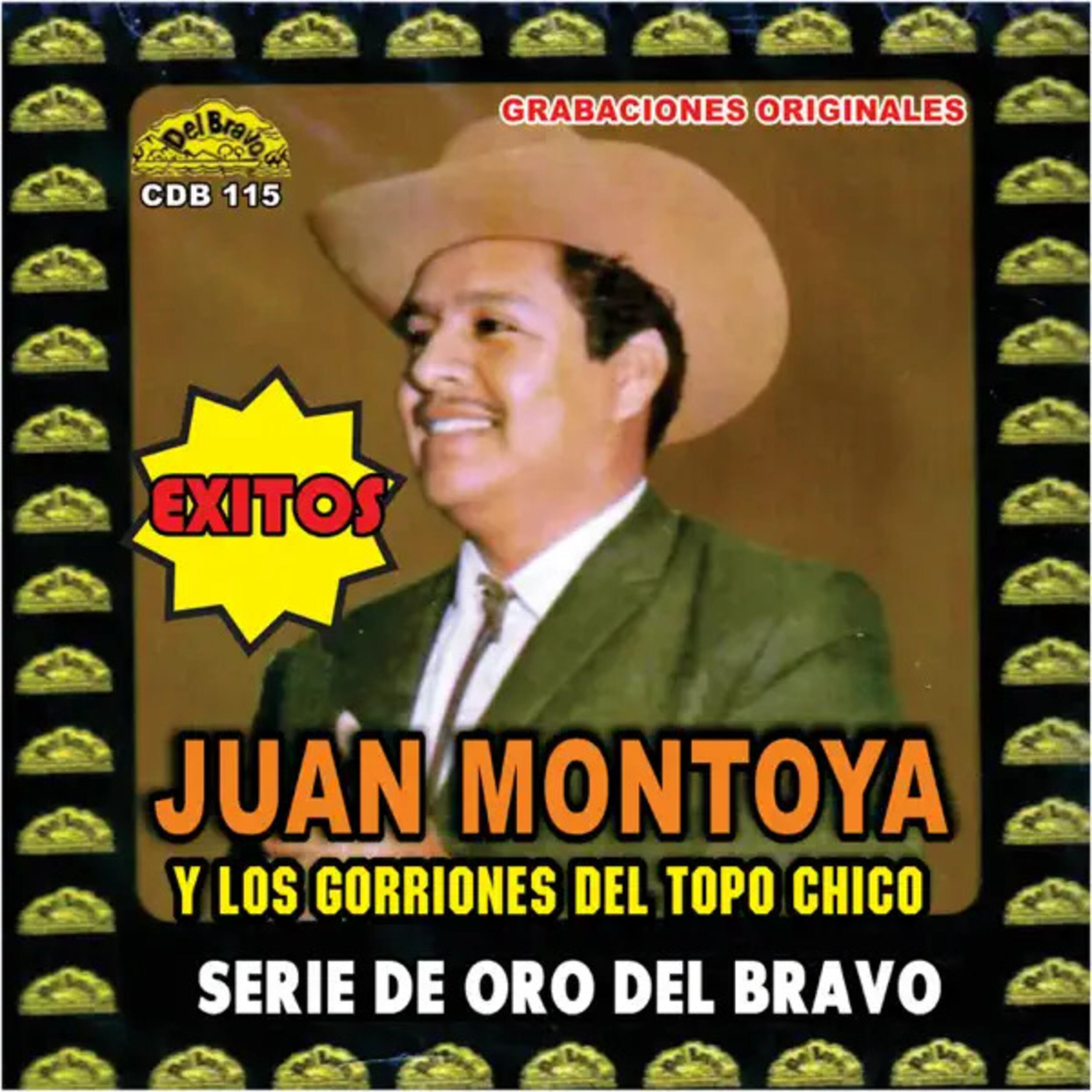 Релиз Serie de Oro del Bravo