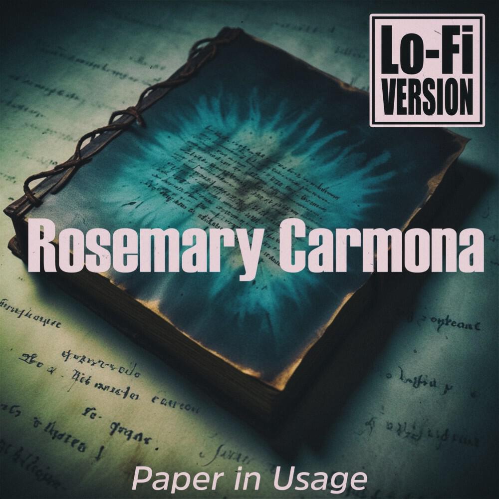 Релиз Paper in Usage (Lo-Fi Version)