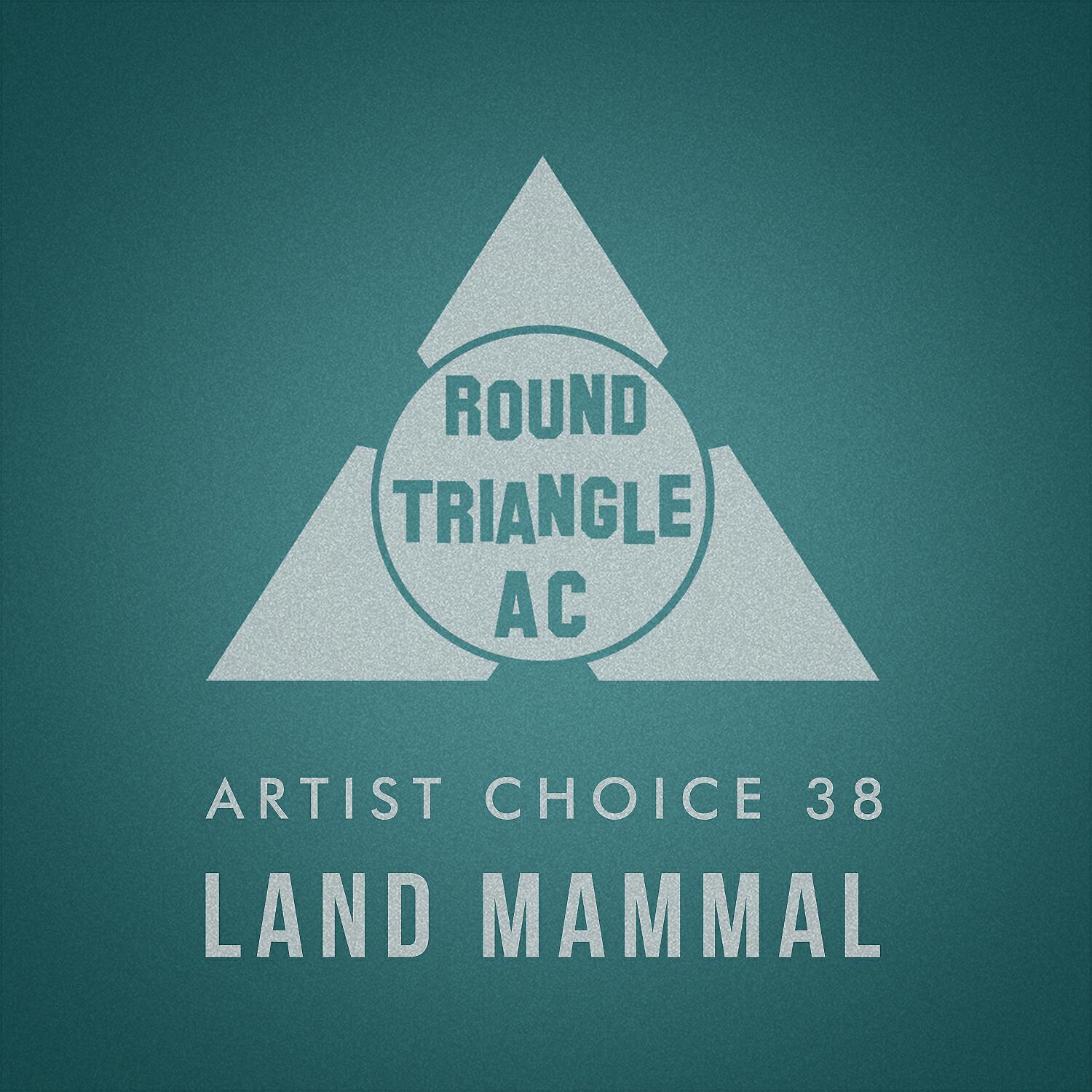 Релиз Artist Choice 38