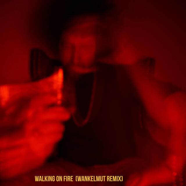 Релиз Walking On Fire (Wankelmut Remix)