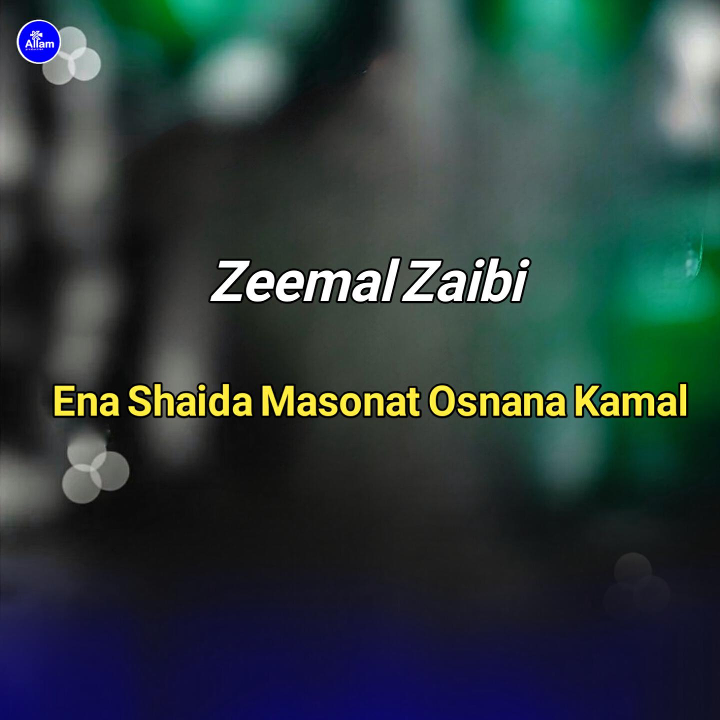 Zeemal Zaibi