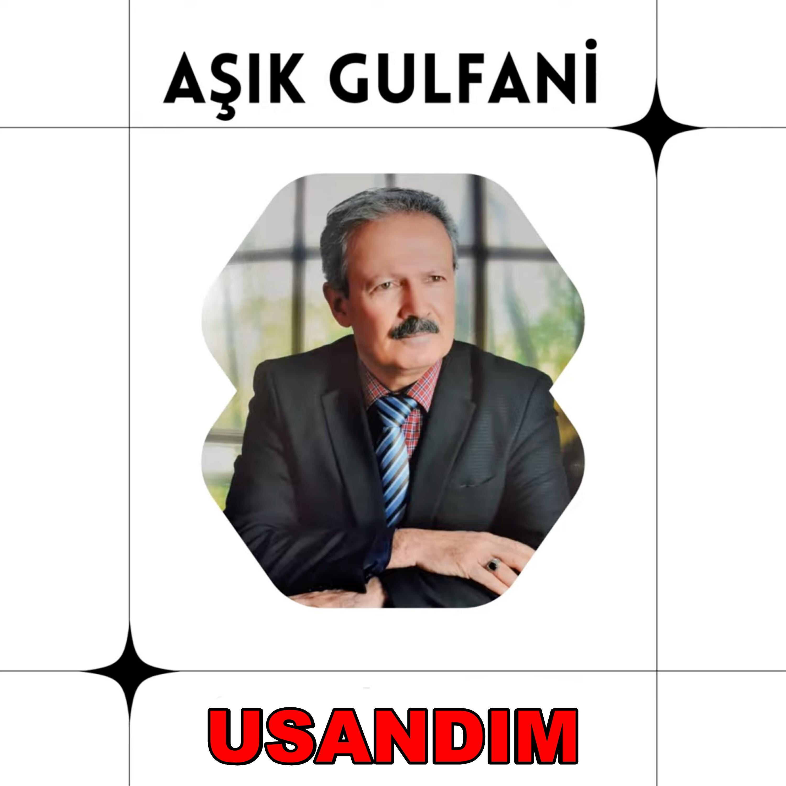 Постер альбома Usandım