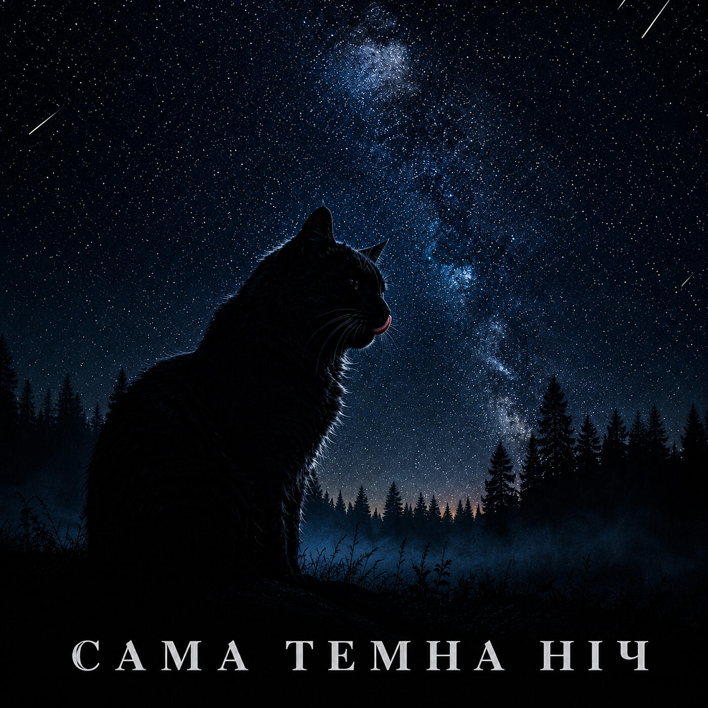Релиз Сама темна ніч