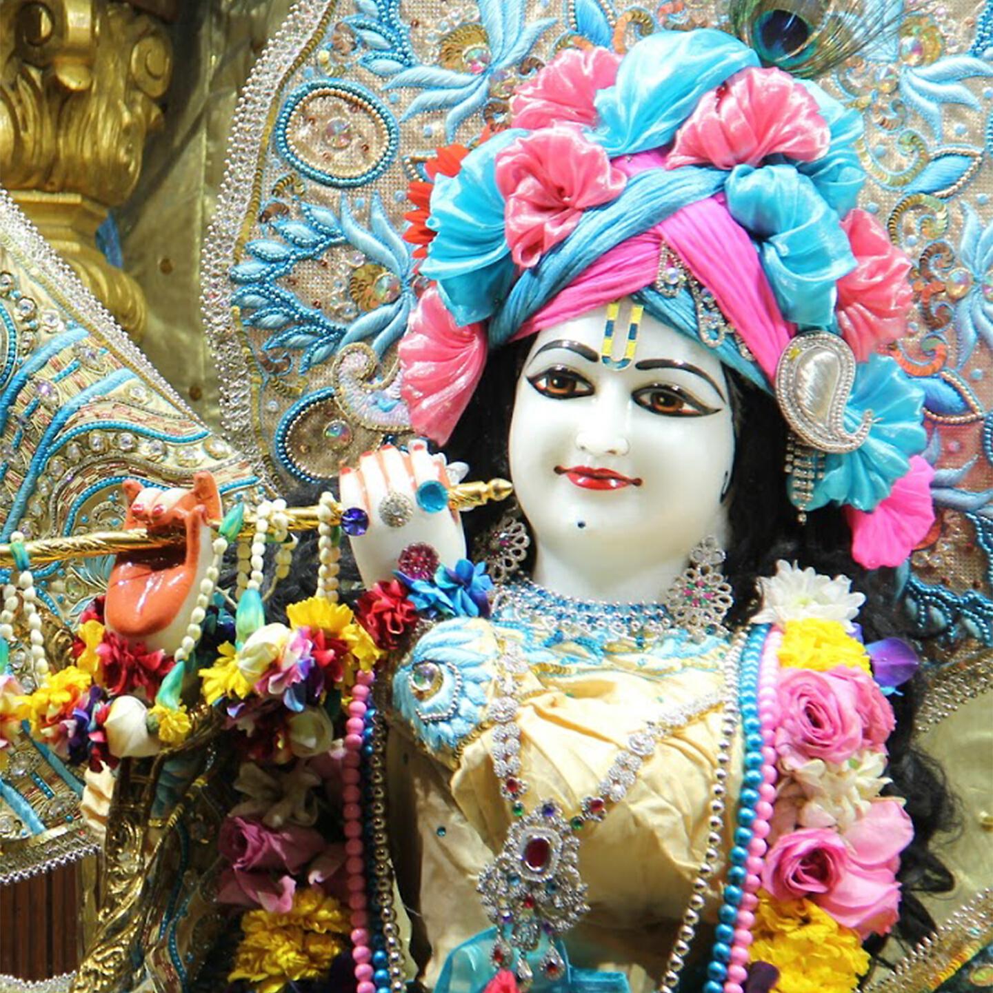 Naambhav Prabhu