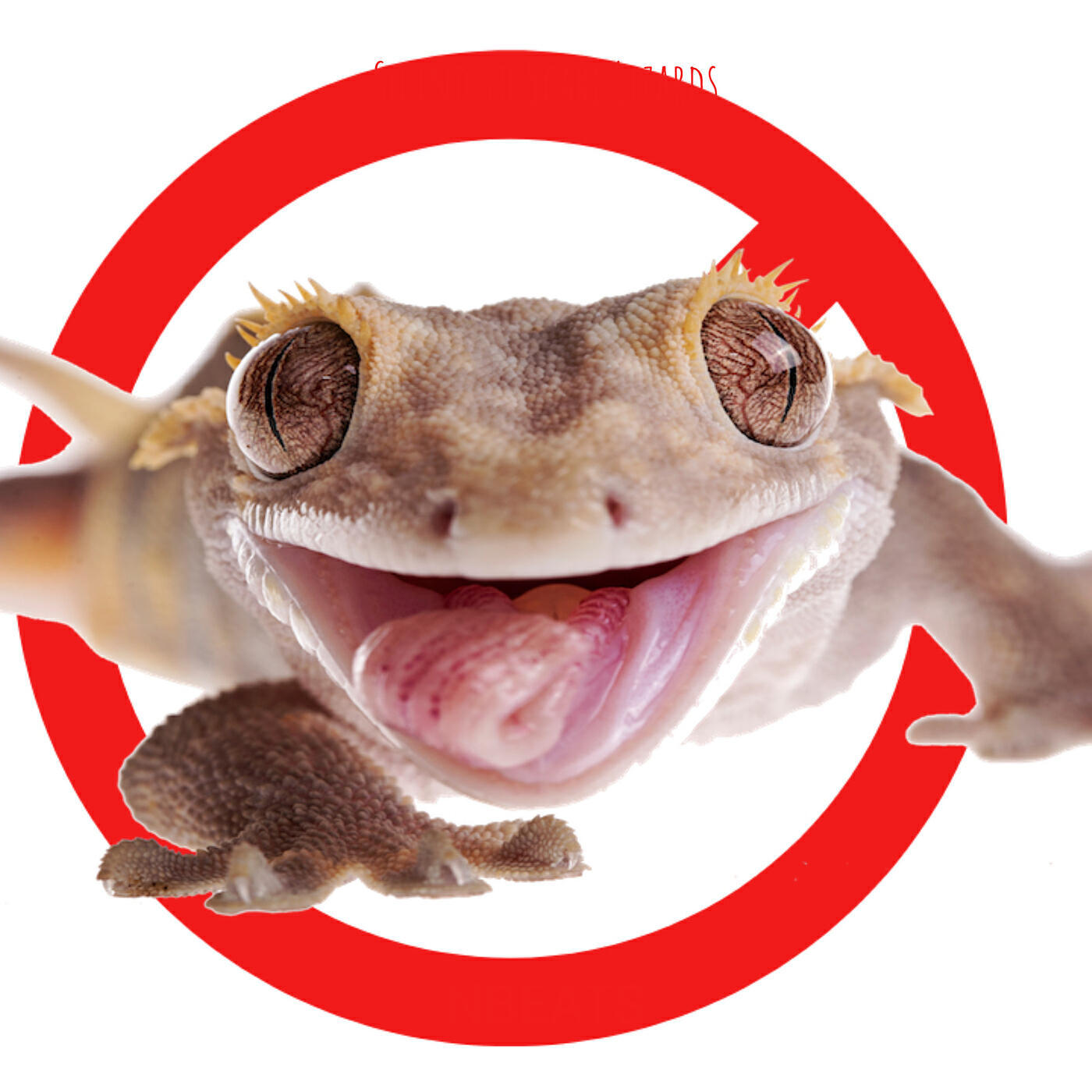 Релиз Sound to Scare Lizards