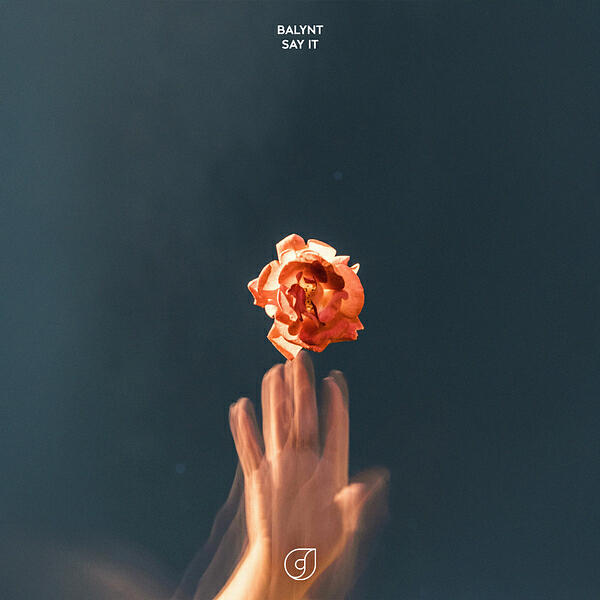 Релиз Say It