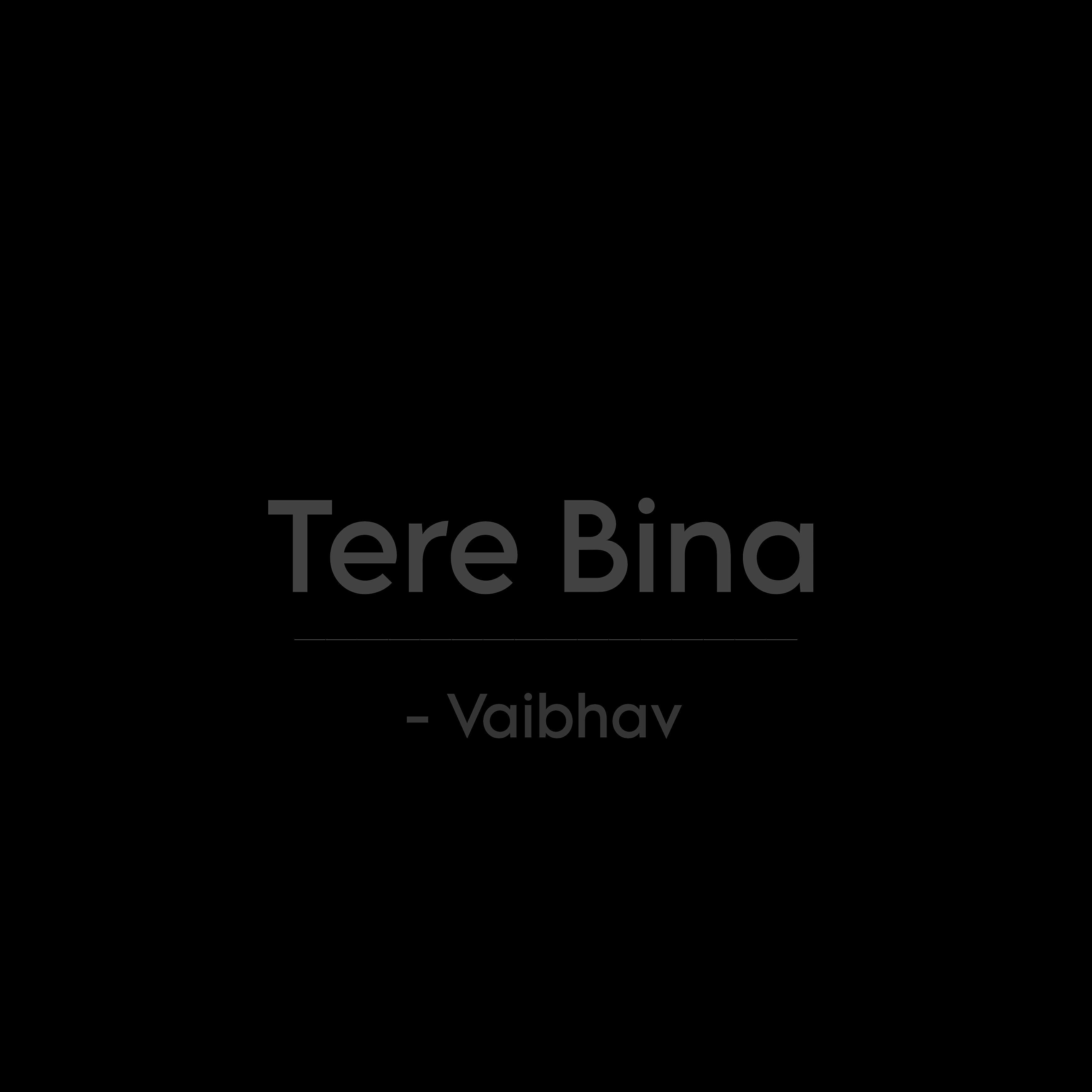 Релиз Tere Bina