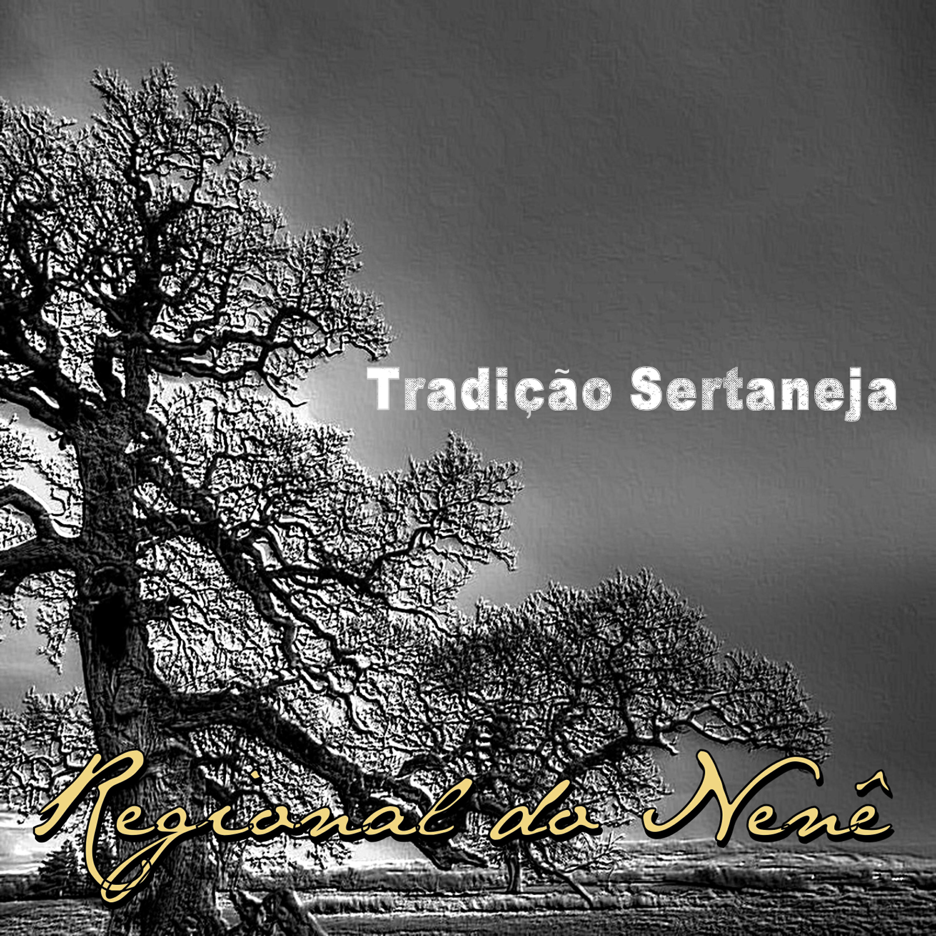 Релиз Tradição Sertaneja