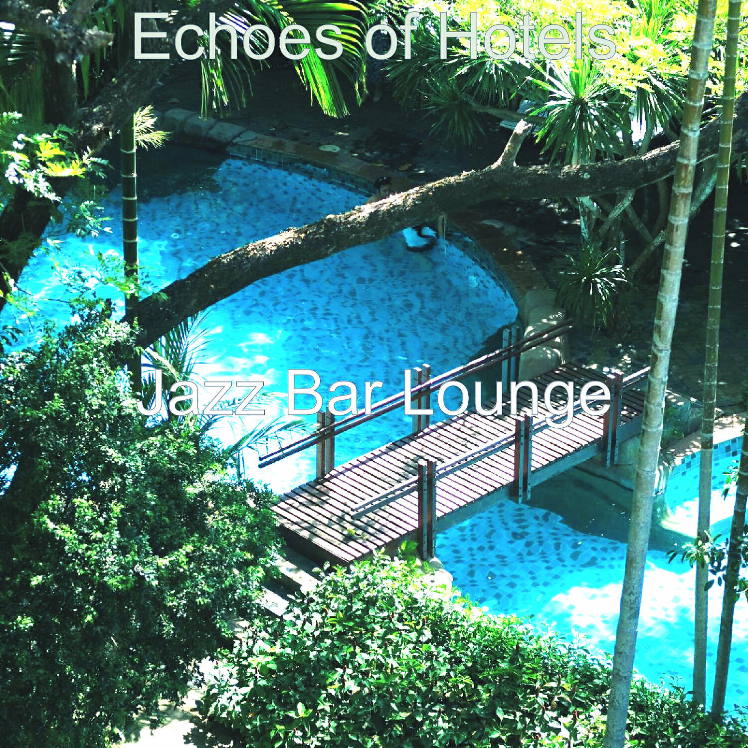 Релиз Echoes of Hotels