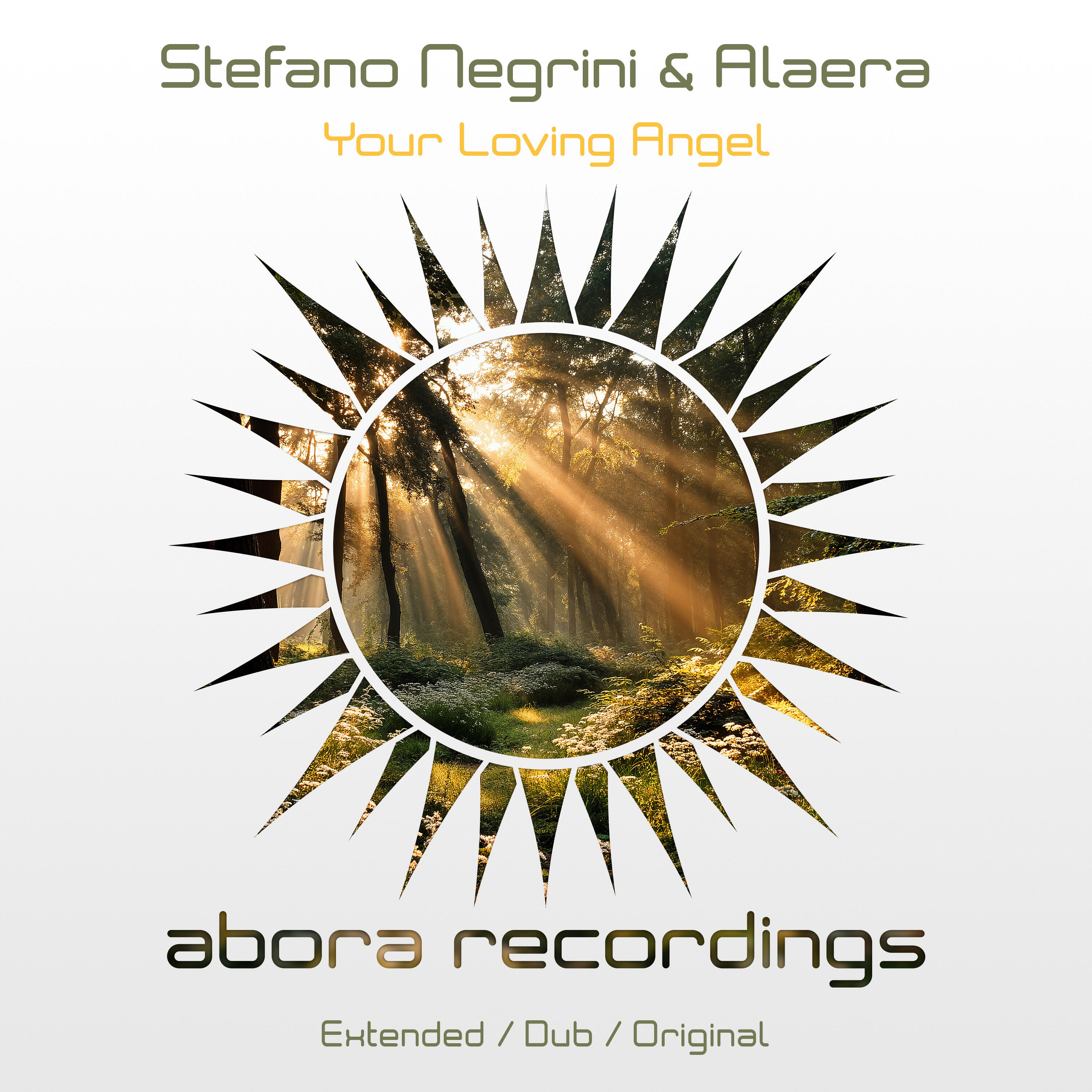 Stefano Negrini