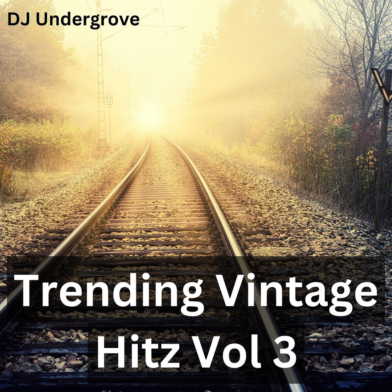 Релиз Trending Vintage Hitz Vol 3