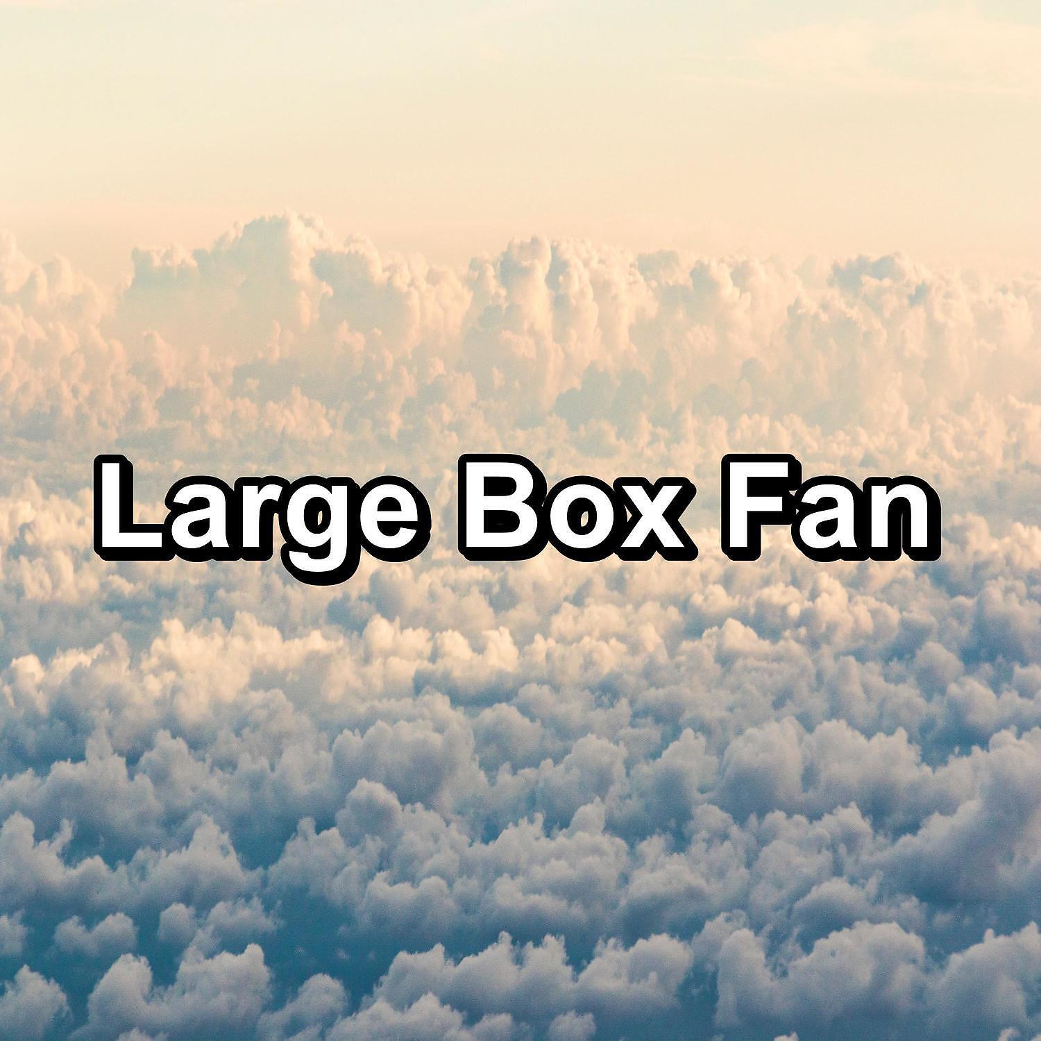 Релиз Large Box Fan