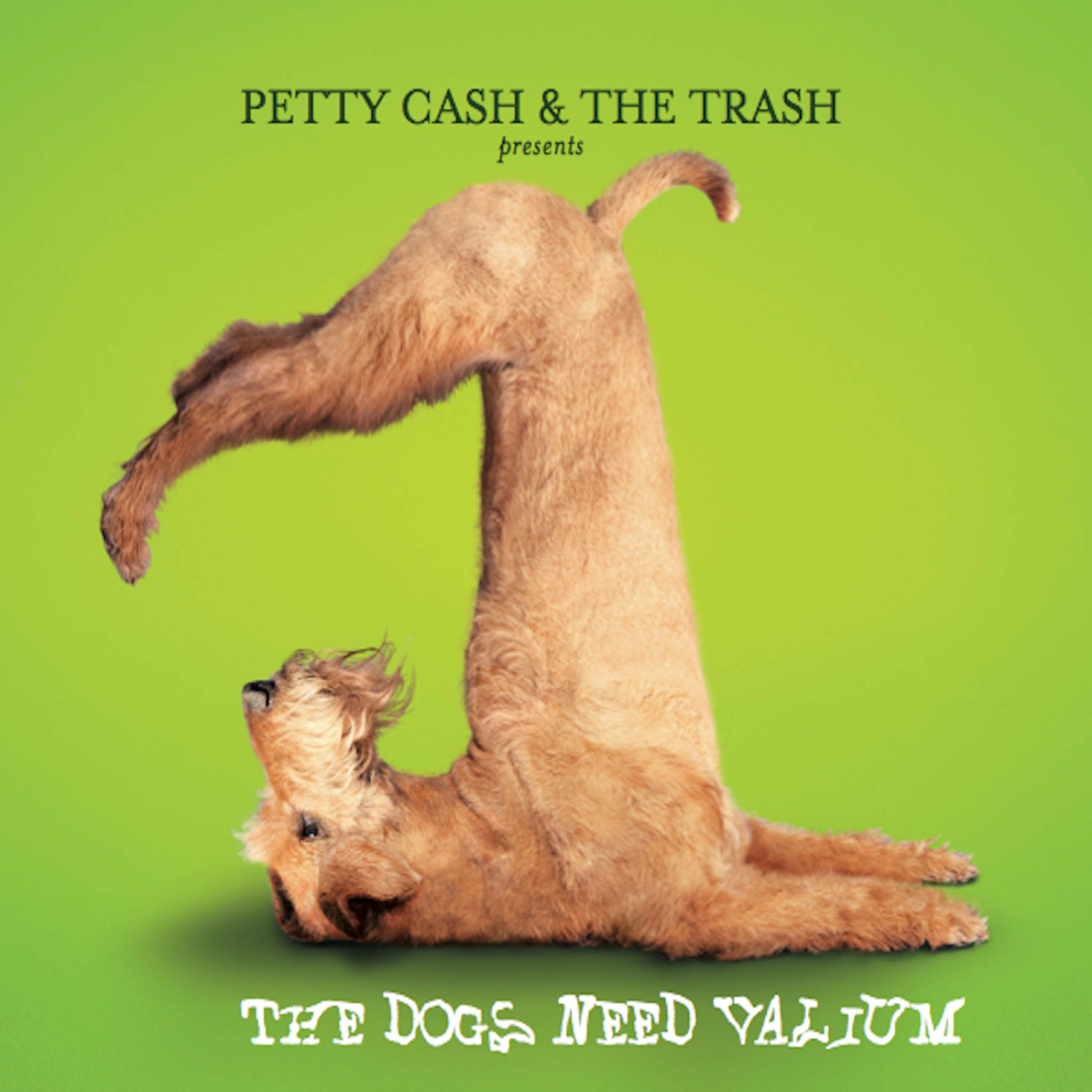 Релиз The Dogs Need Valium