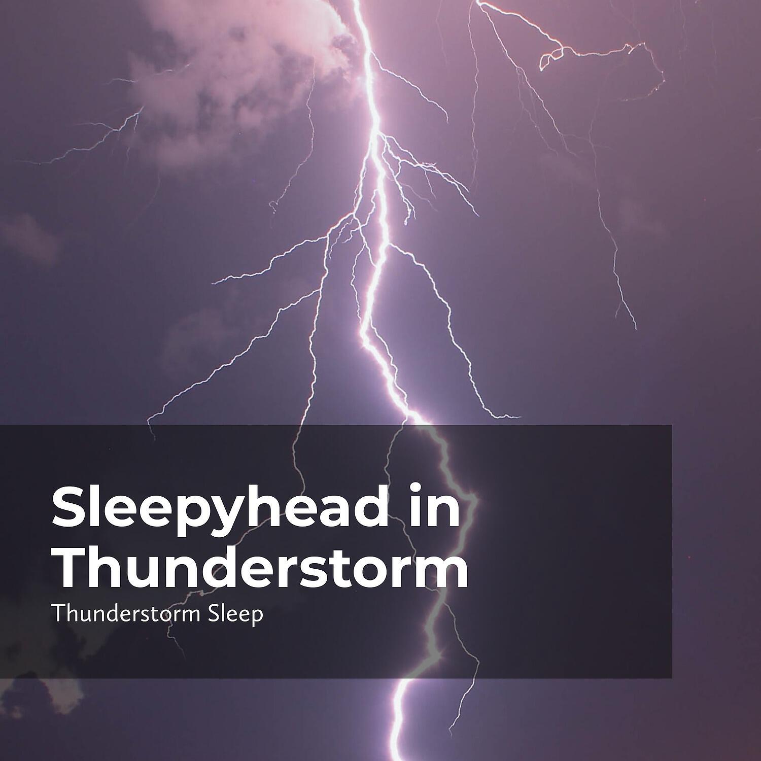Релиз Sleepyhead in Thunderstorm