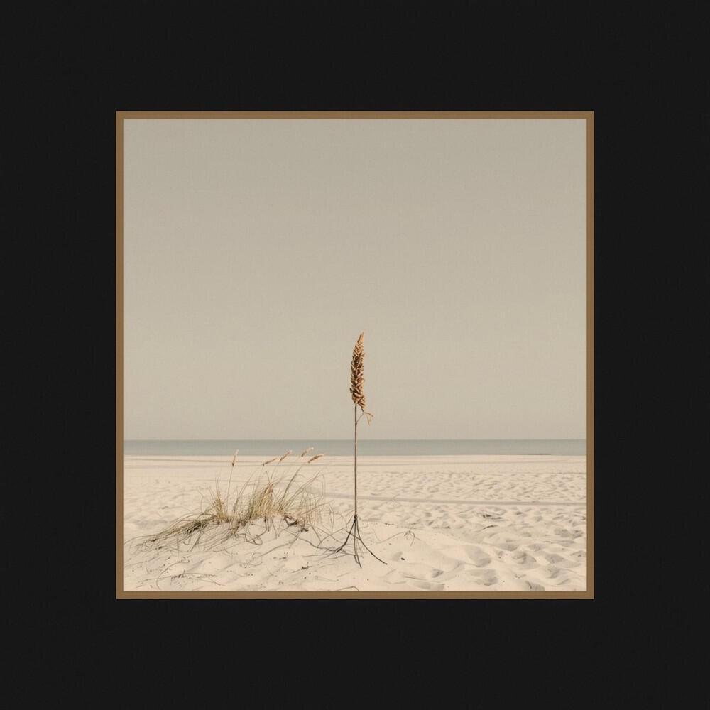 Релиз Loneliness Is