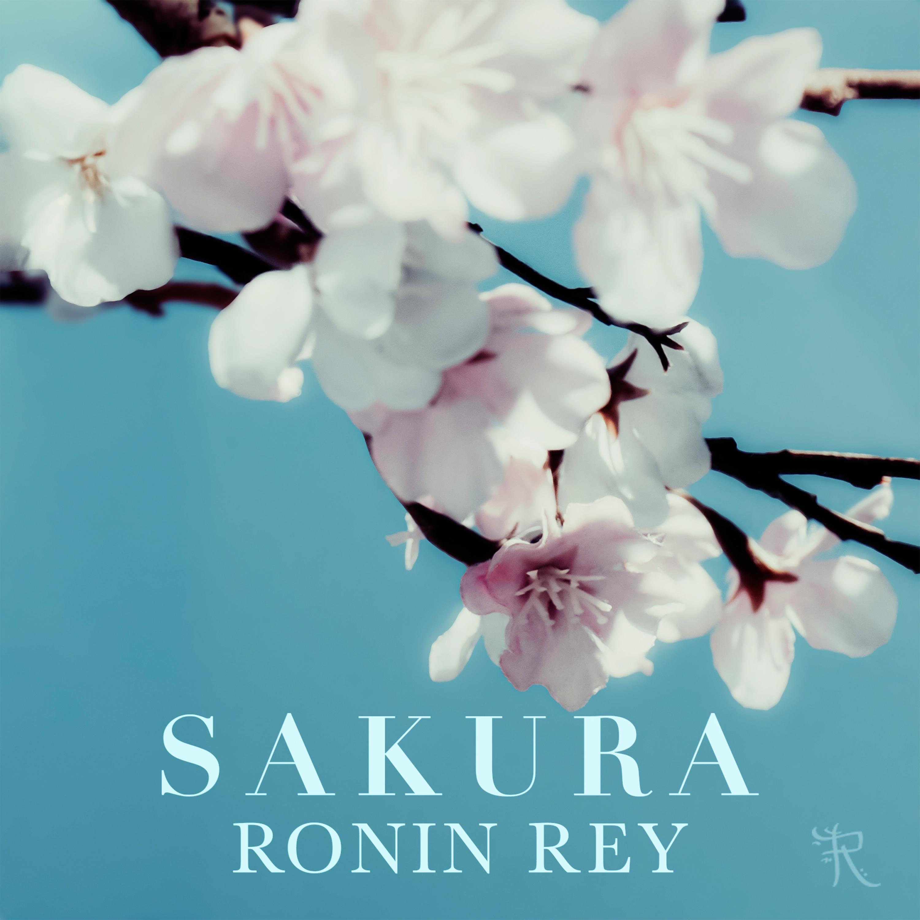 Релиз Sakura