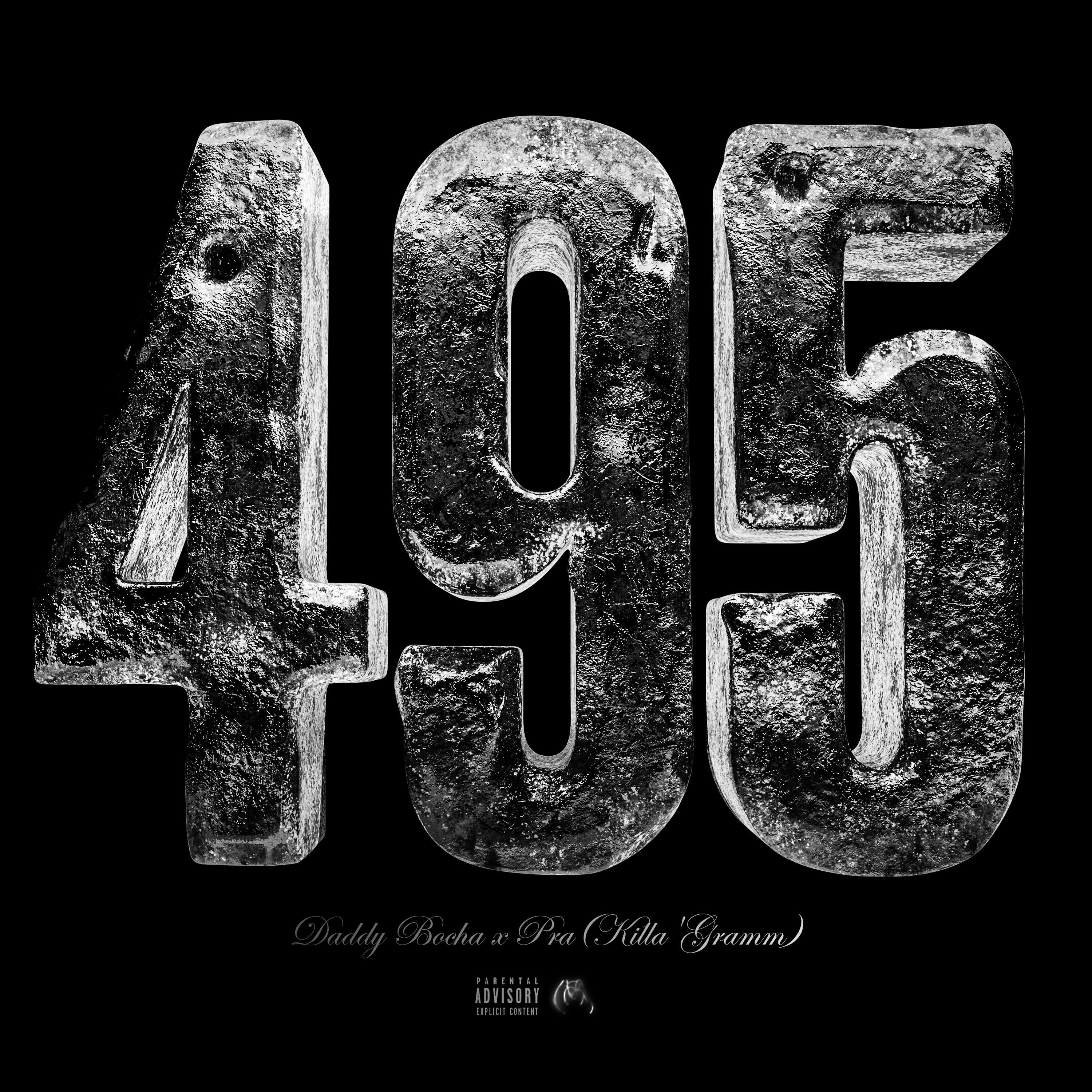Постер альбома 495 (prod. mr. Darko)