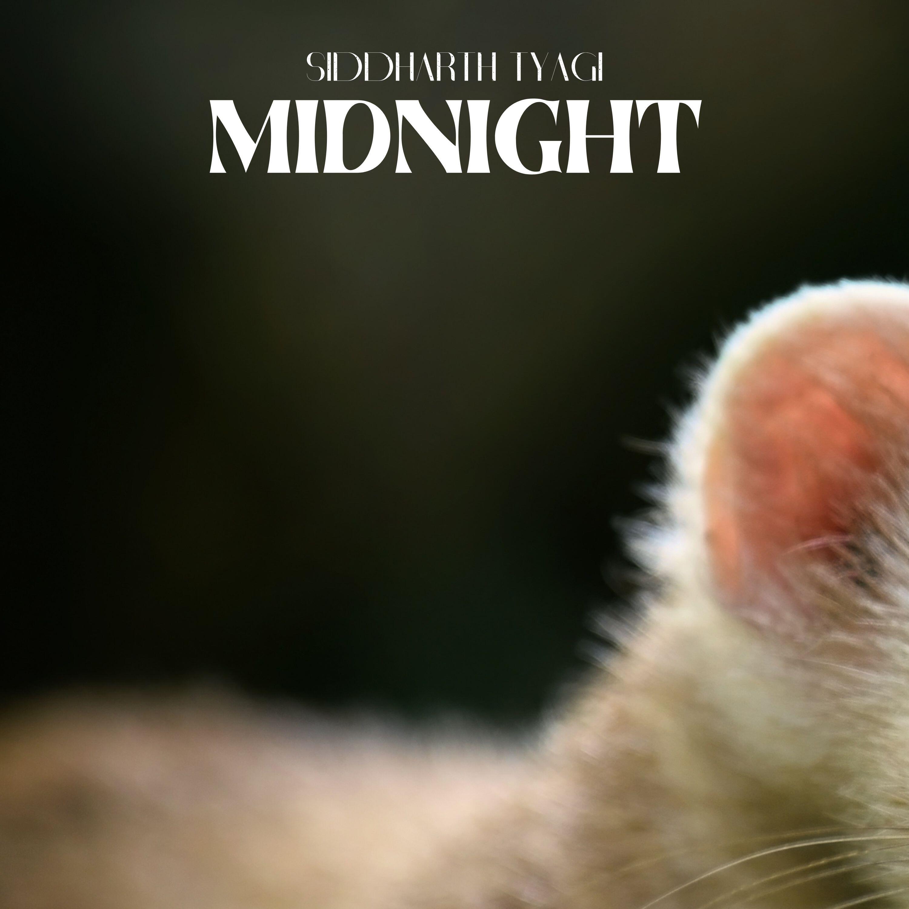 Релиз Midnight
