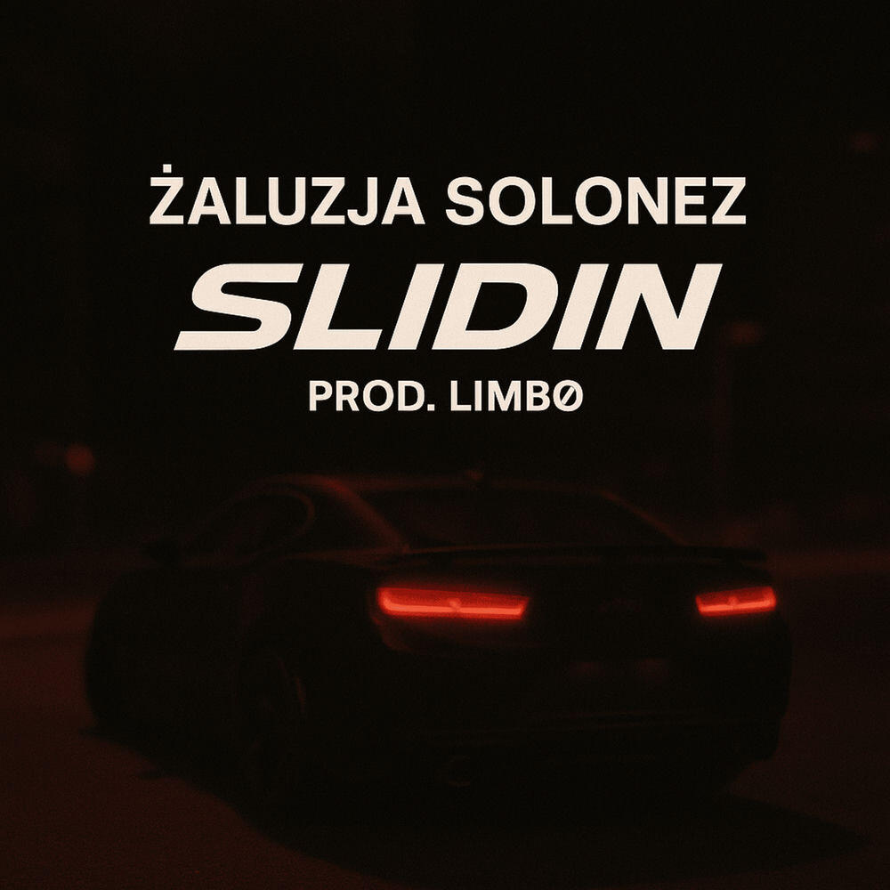 Релиз SLIDIN