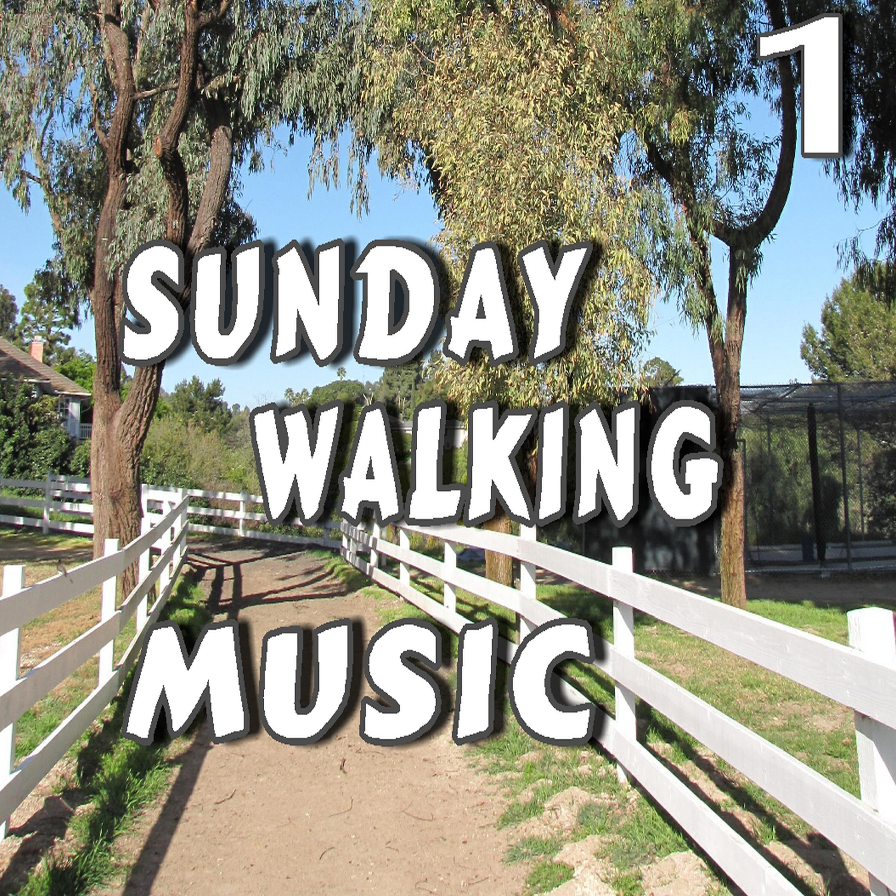 Релиз Sunday Walking Music, Vol. 1 (Instrumental)
