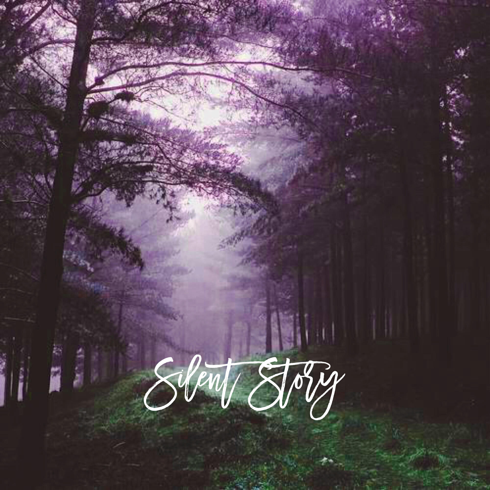 Релиз Silent Story
