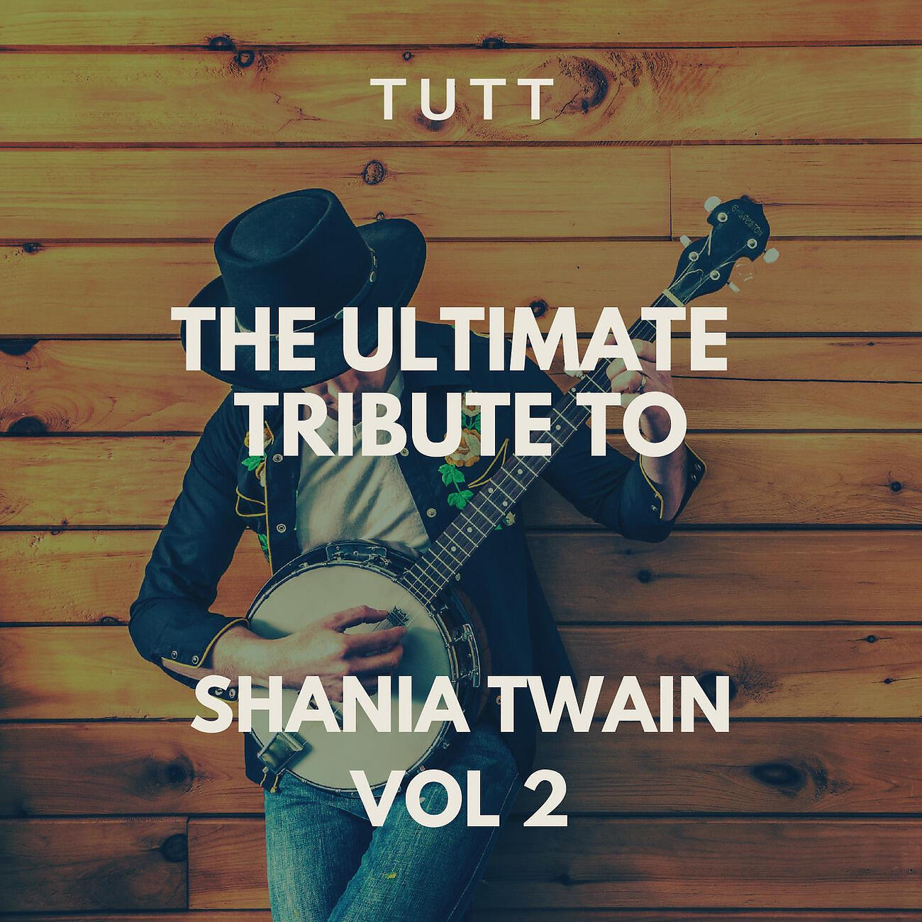 Релиз The Ultimate Tribute To Shania Twain Vol 2