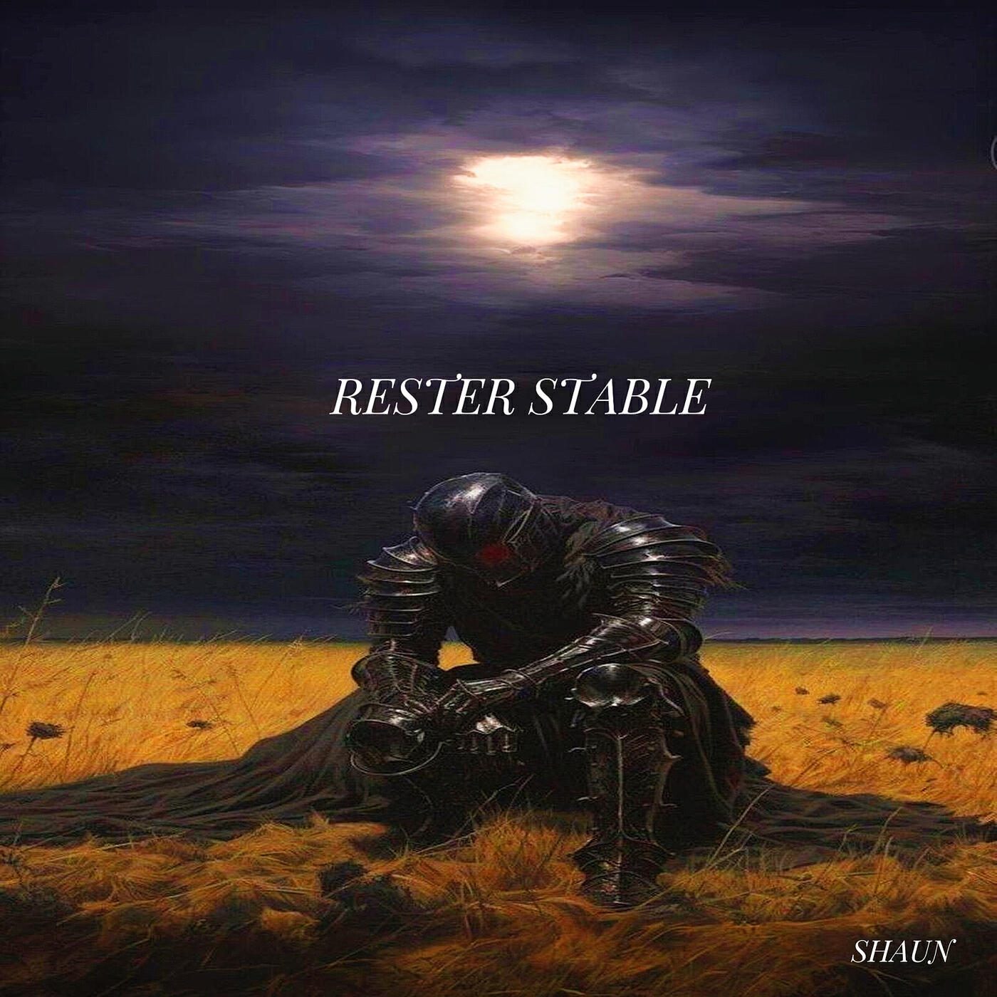 Релиз RESTER STABLE
