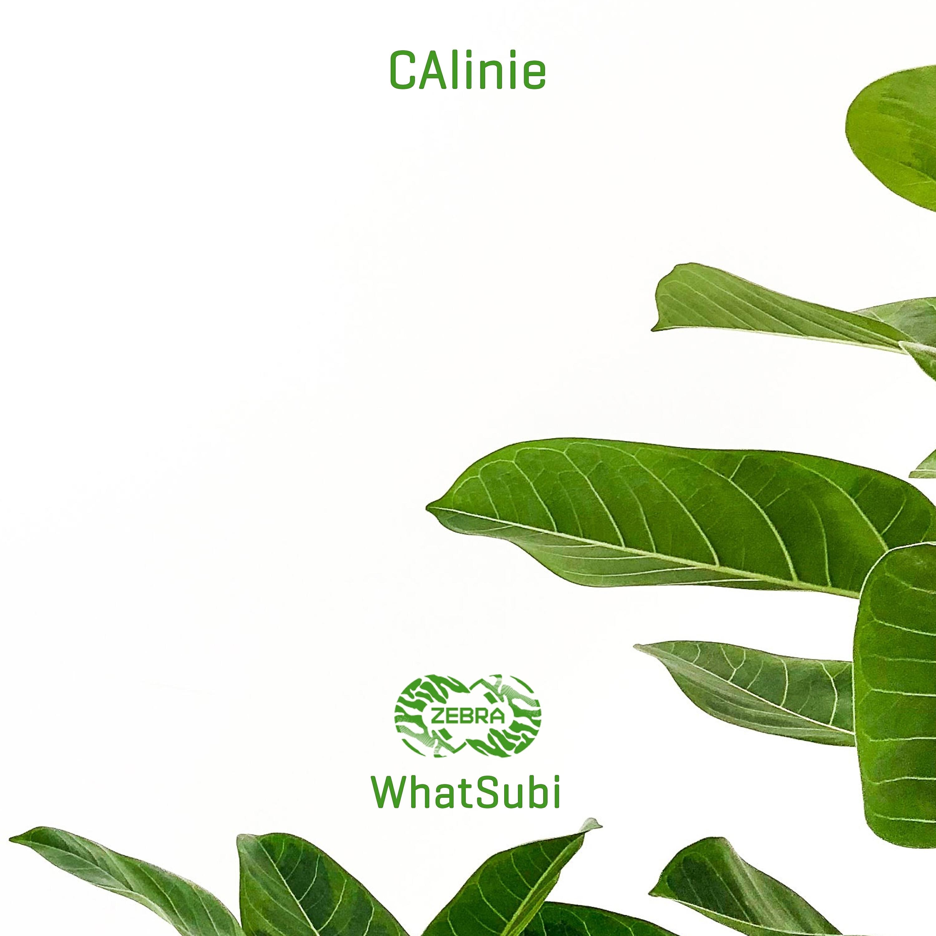 CAlinie