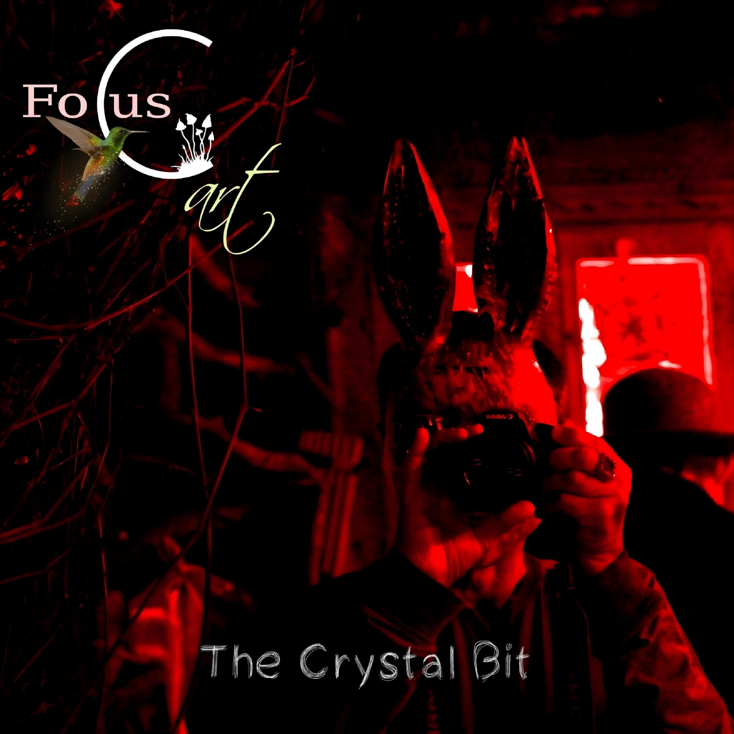 Focus Art