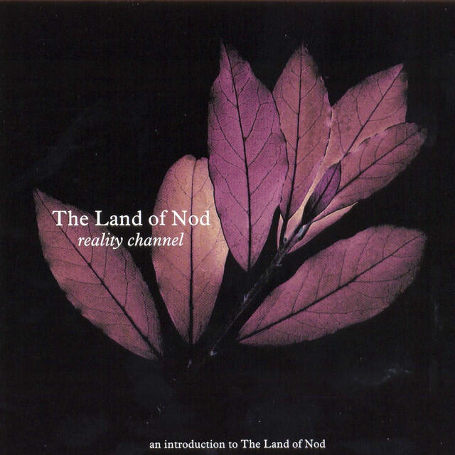 Релиз Reality Channel