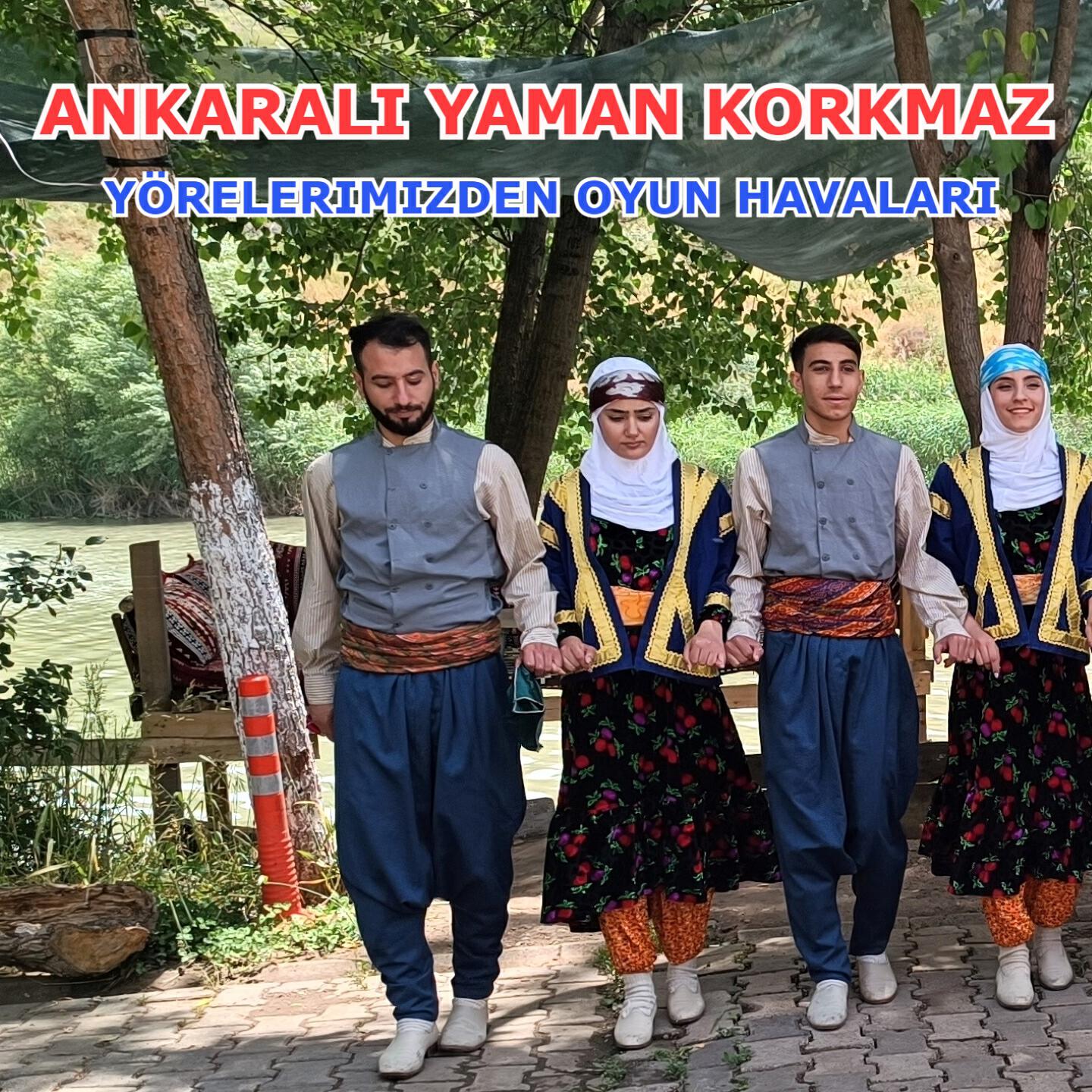 Релиз Yörelerimizden Oyun Havaları