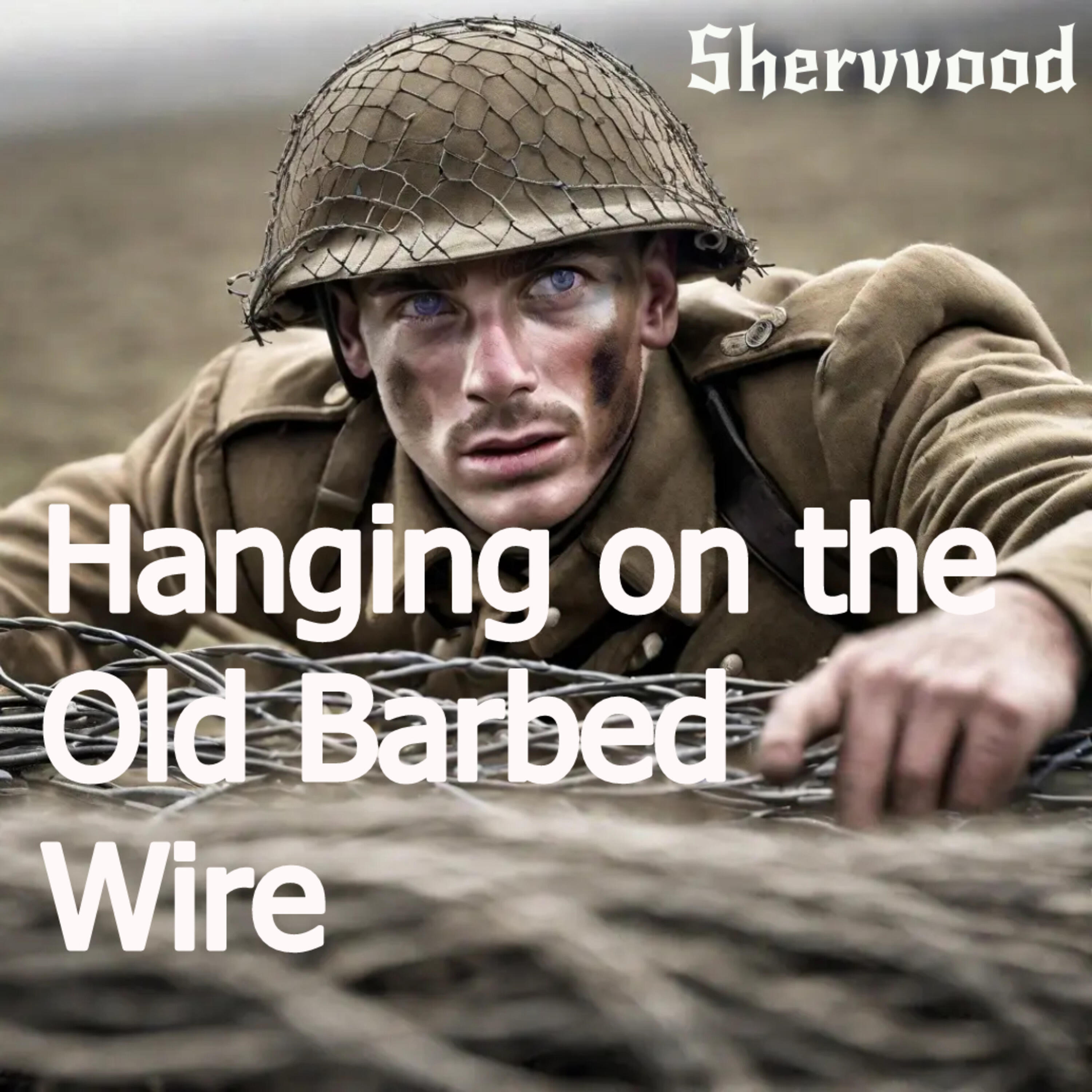 Релиз Hanging on the Old Barbed Wire