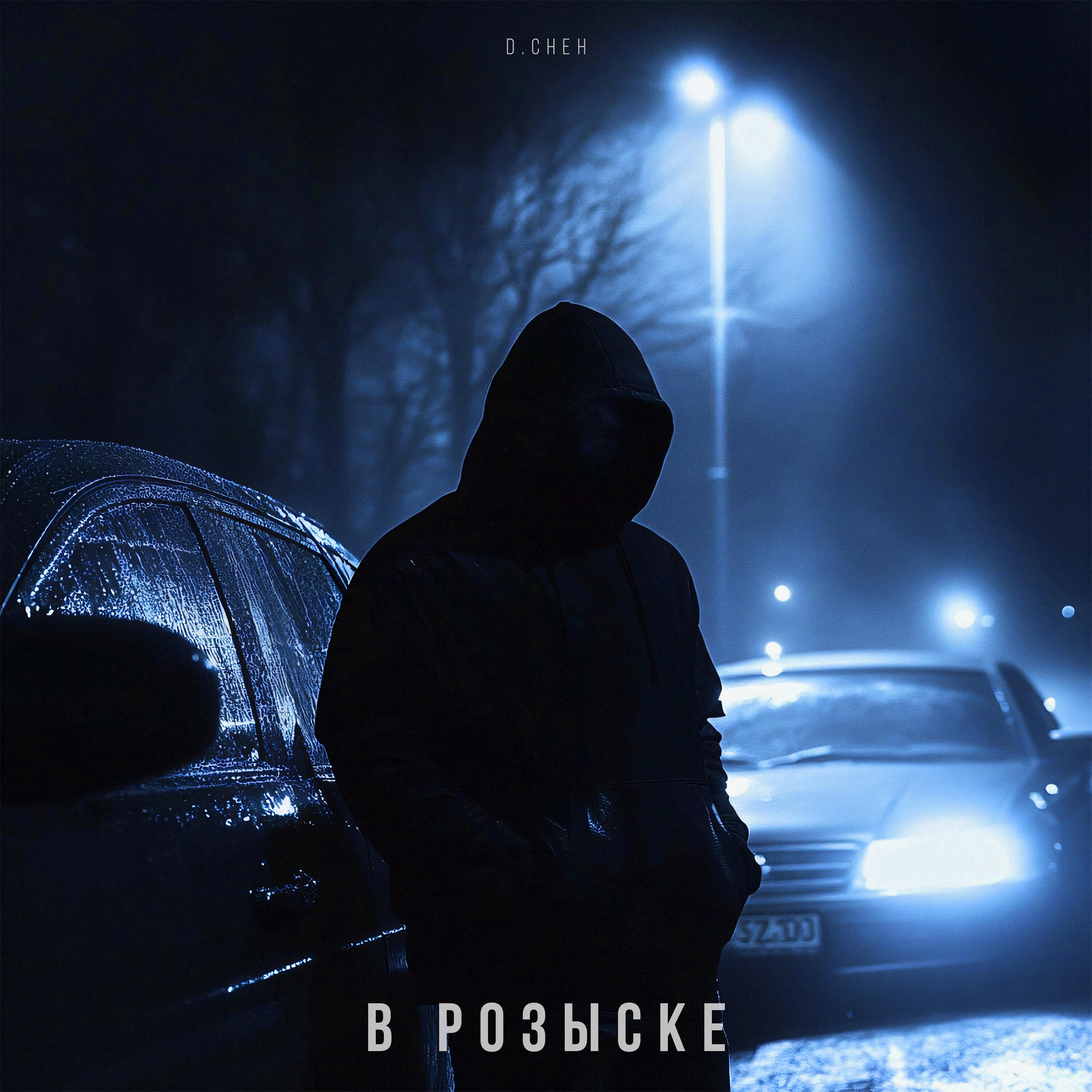 Релиз В розыске