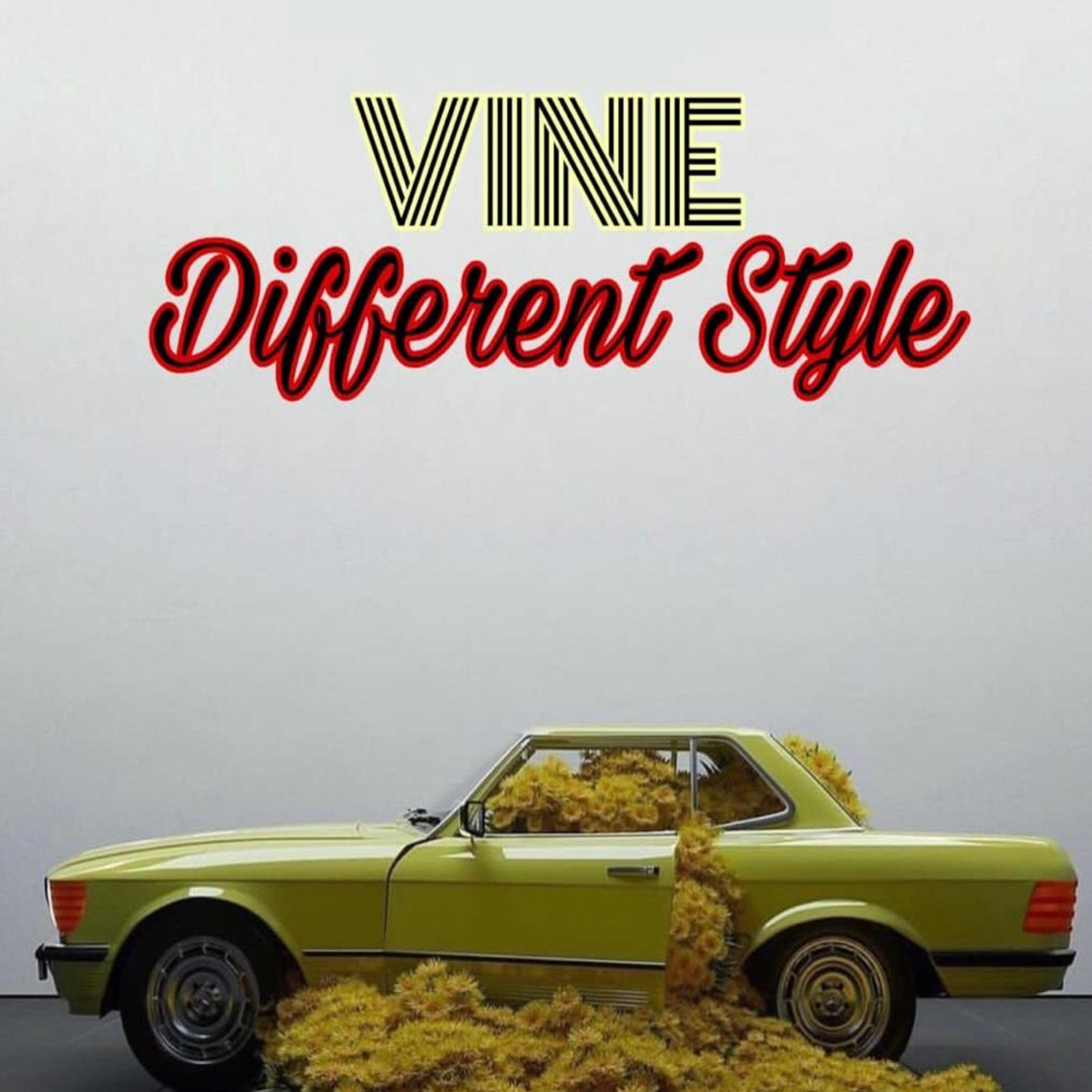 Релиз DIFFERENT STYLE