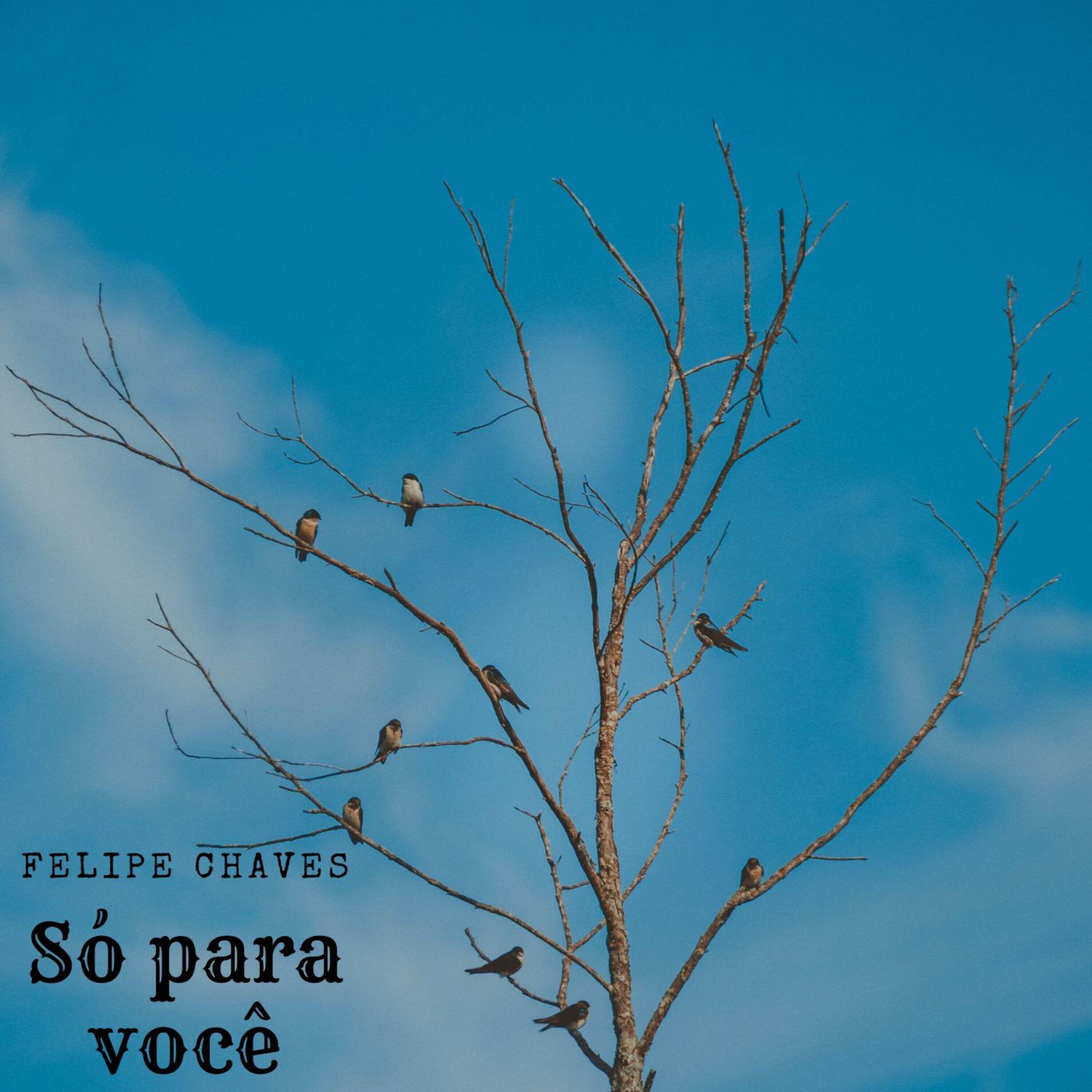 Релиз Só pra Você