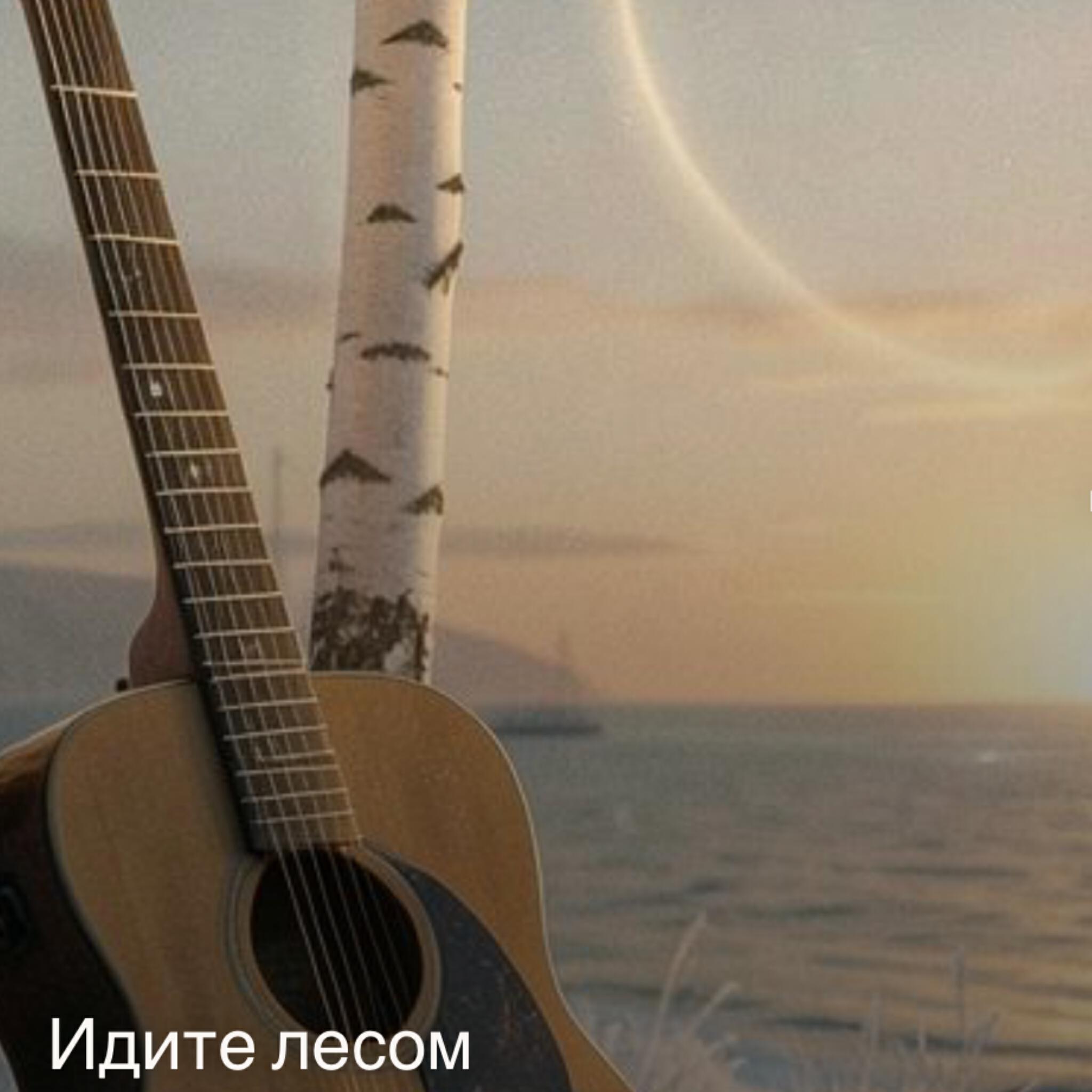 Релиз Идите Лесом