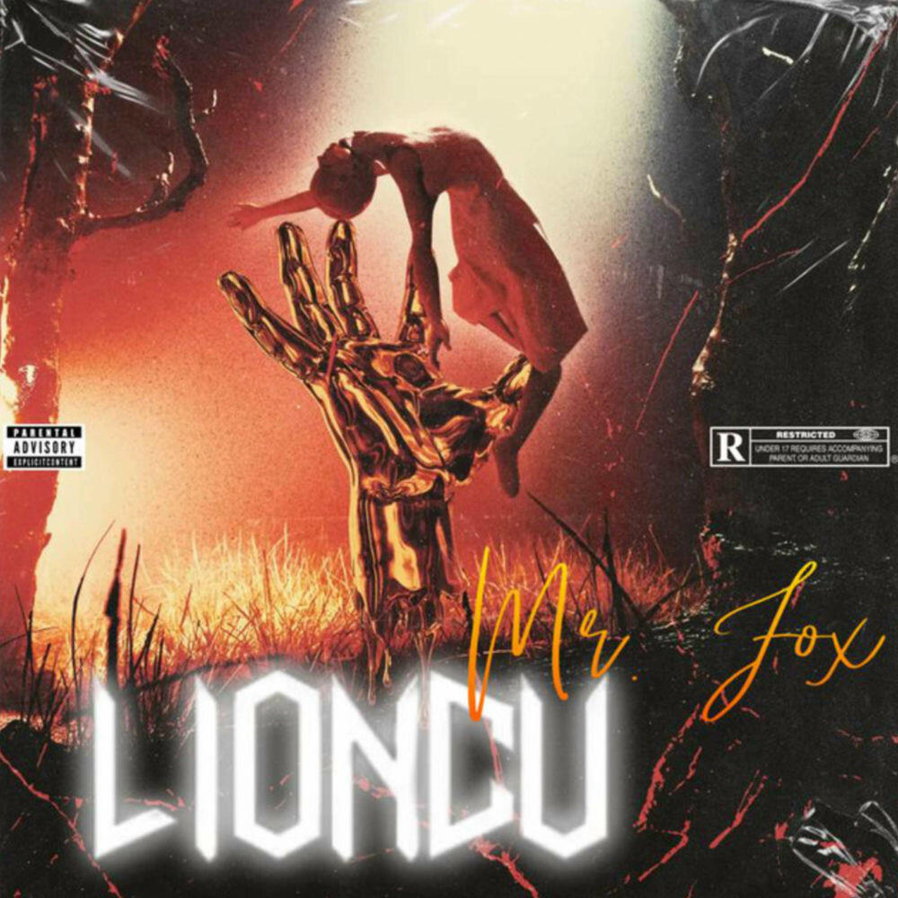 Релиз Lioncu