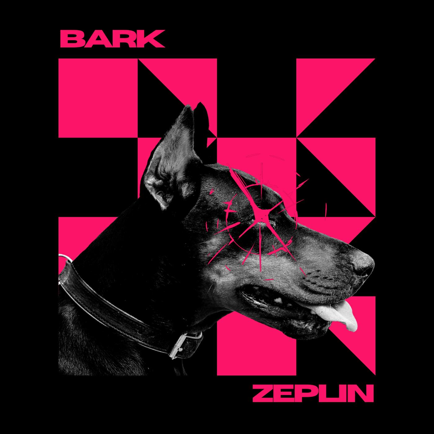 Релиз BARK