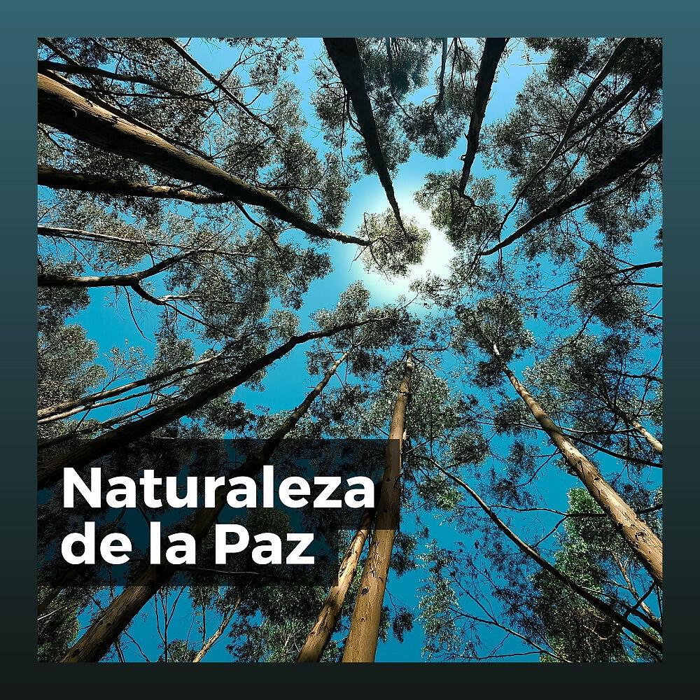 Релиз Naturaleza de la Paz
