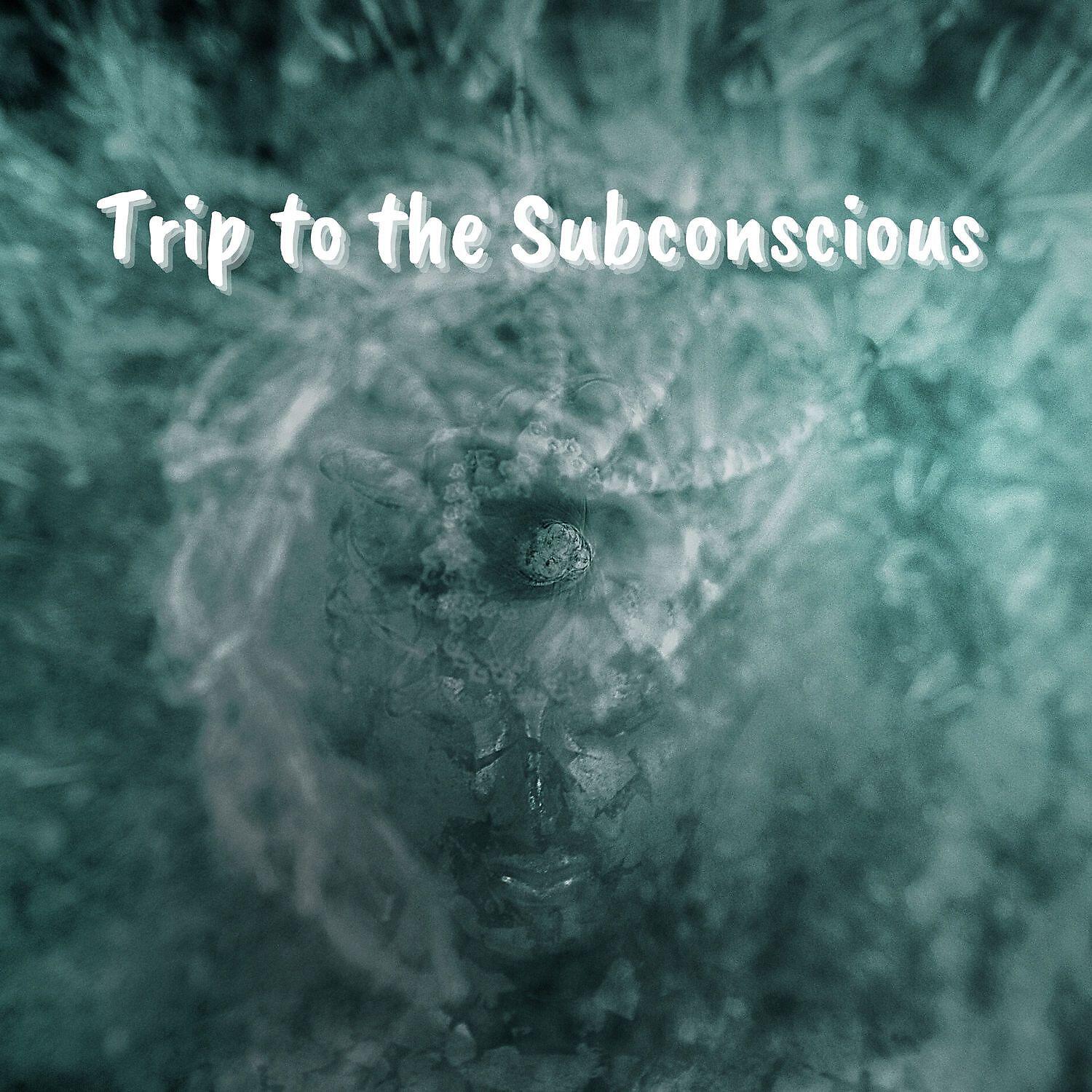 Релиз Trip to the Subconscious