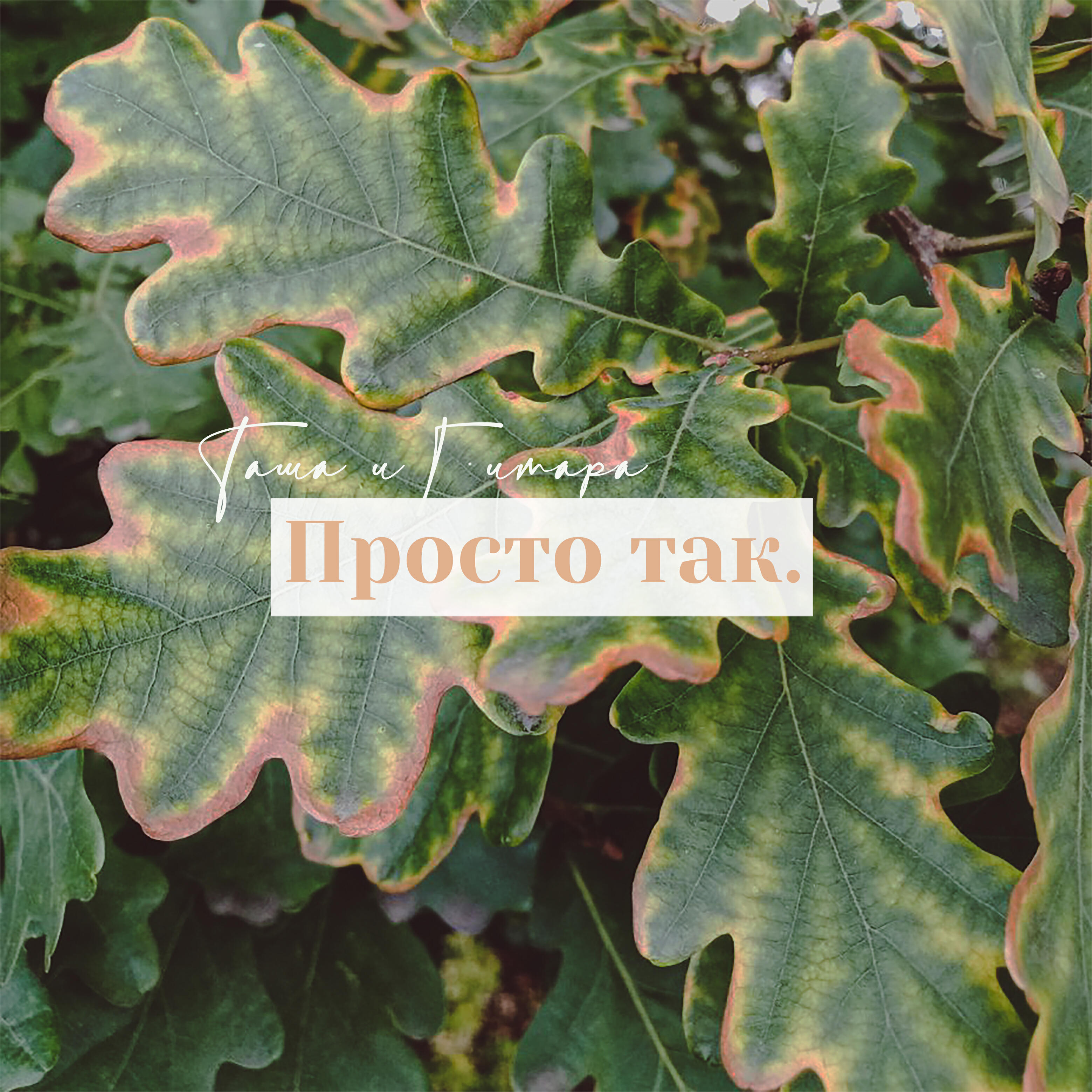 Релиз Просто так