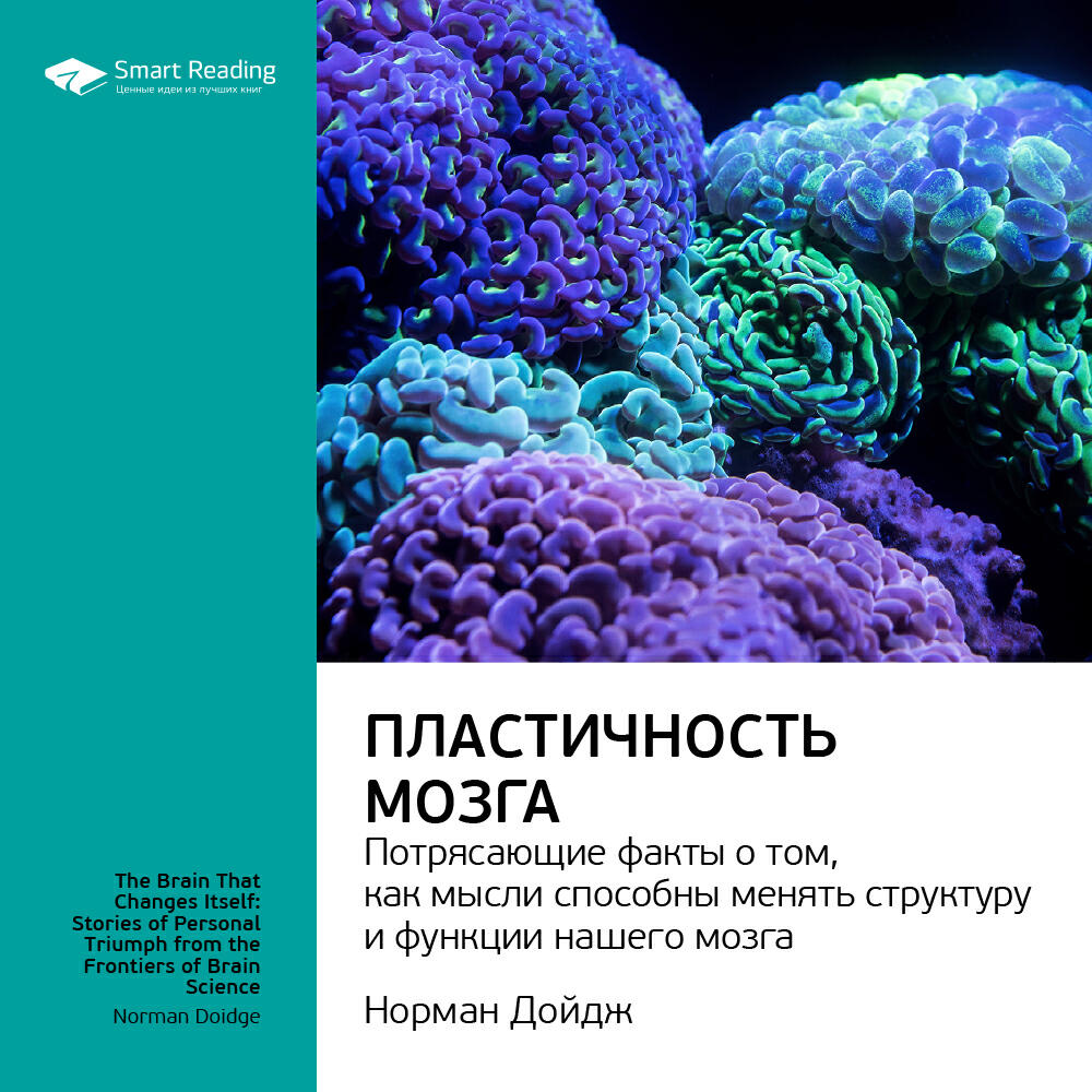 Книга Пластичность мозга. Потрясающие факты о том, как мысли способны менять структуру и функции нашего мозга. Норман Дойдж. Ключевые идеи книги