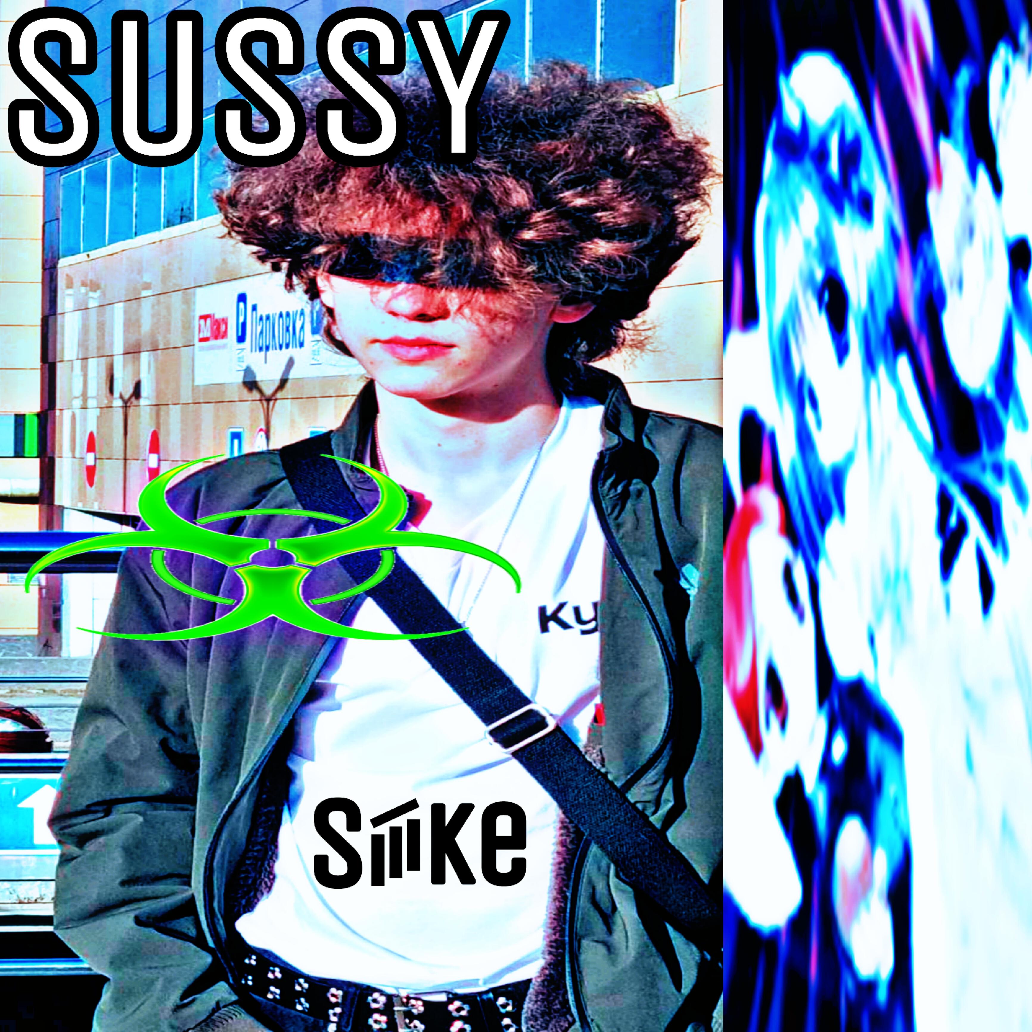 Постер альбома Sussy