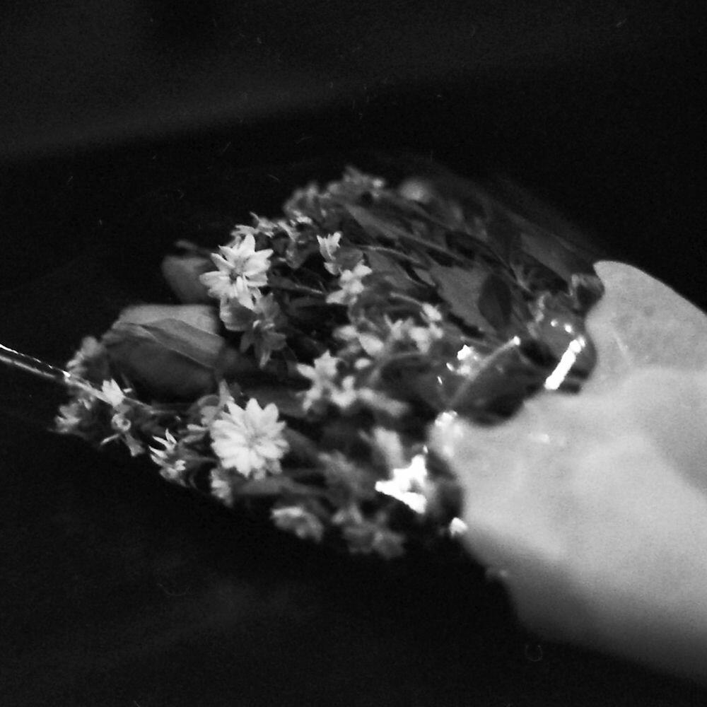 Релиз War Bride