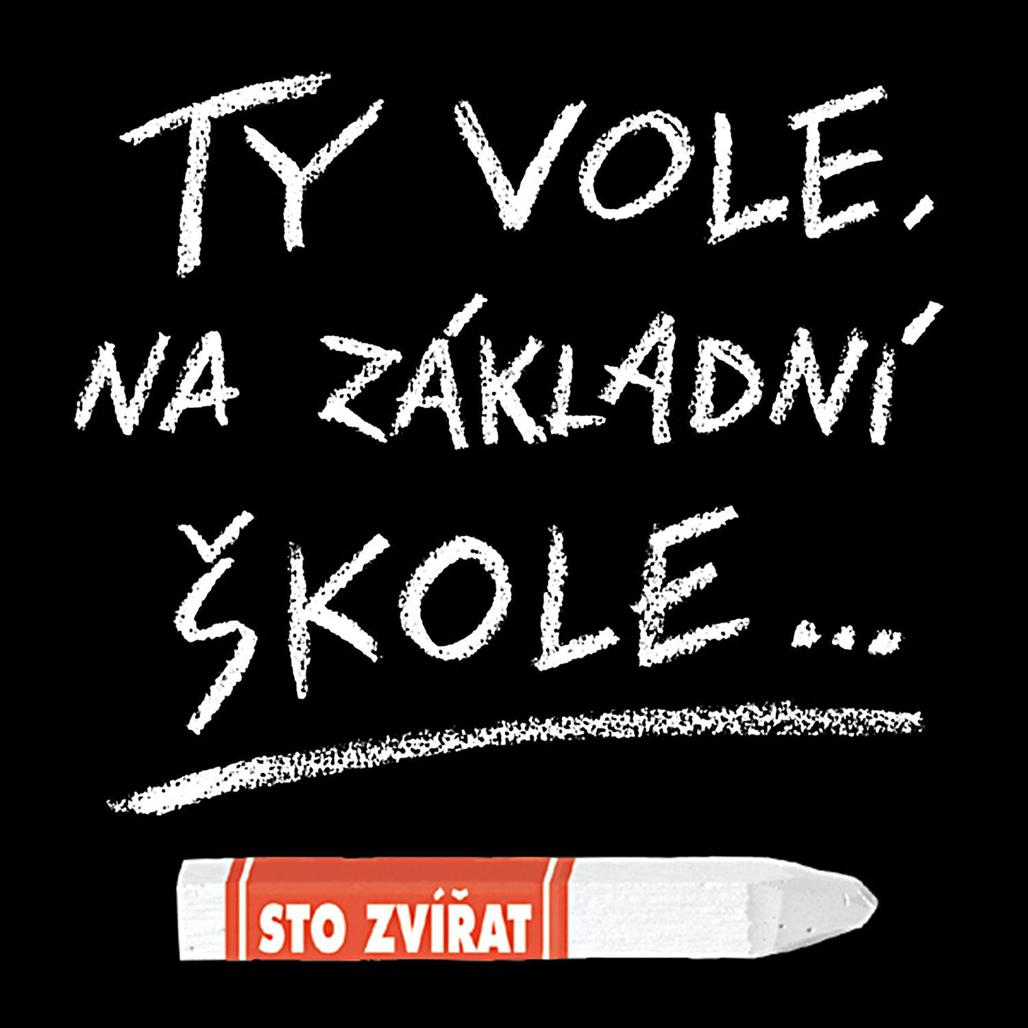 Релиз Ty vole, na základní škole