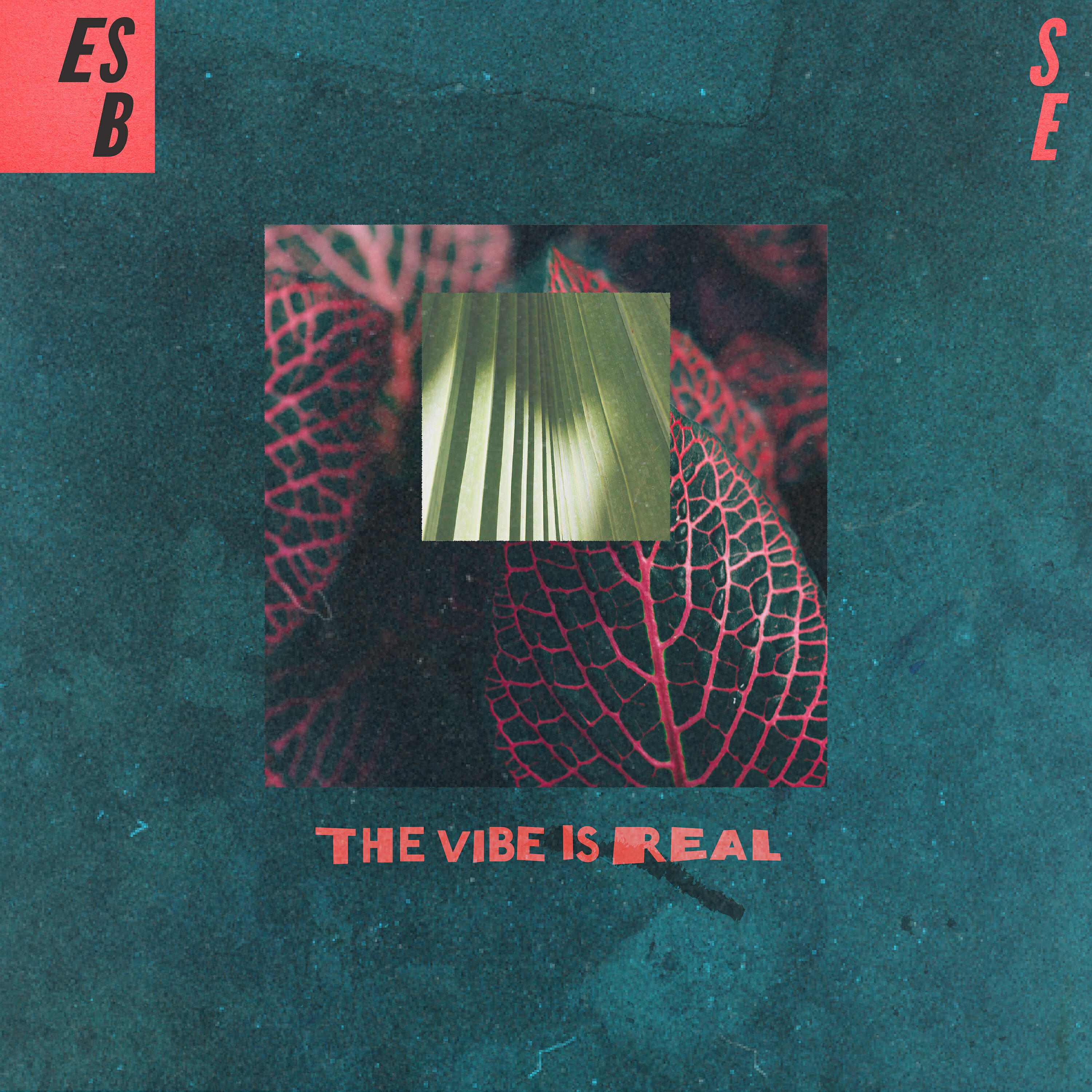 Релиз The Vibe Is Real