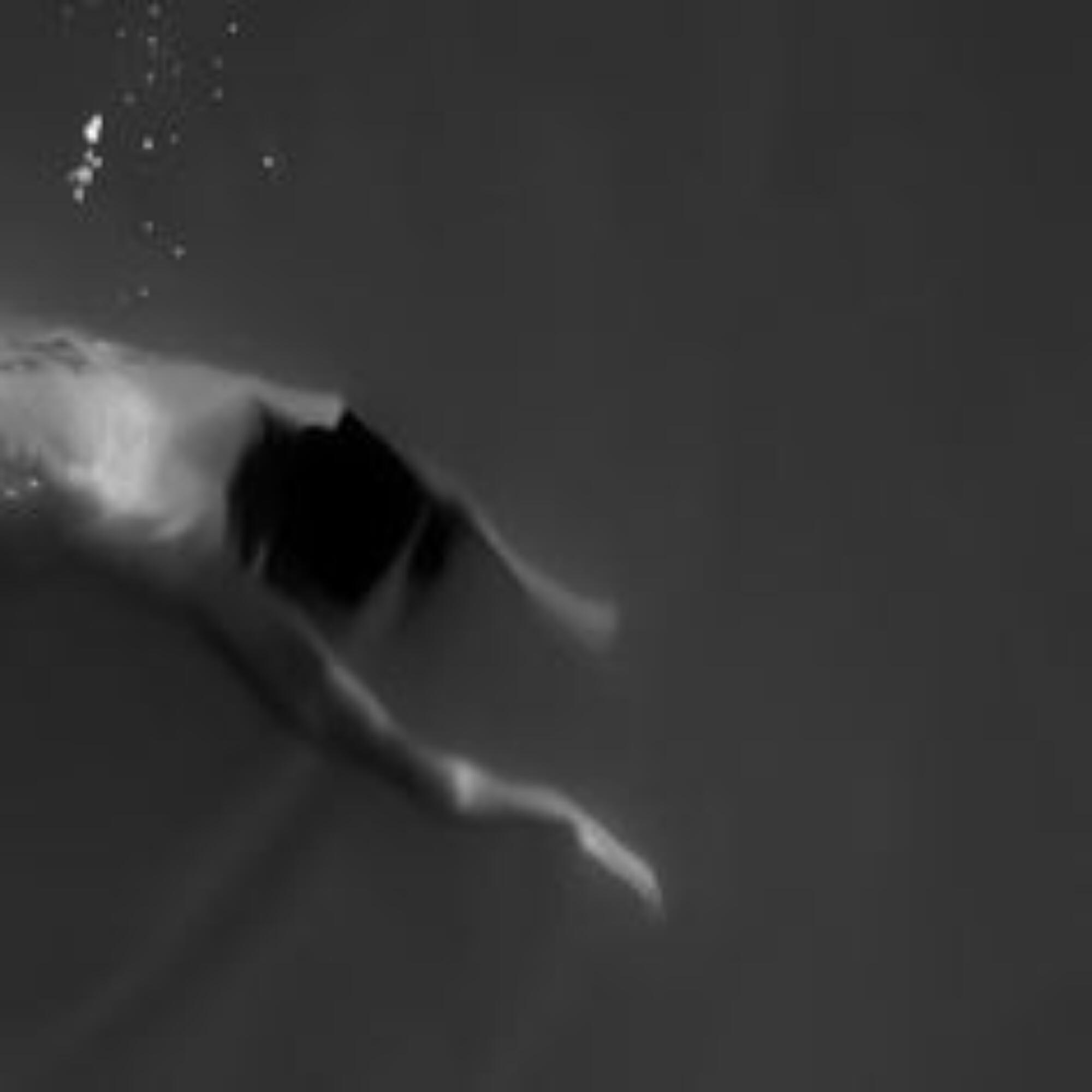 Релиз Philantropy